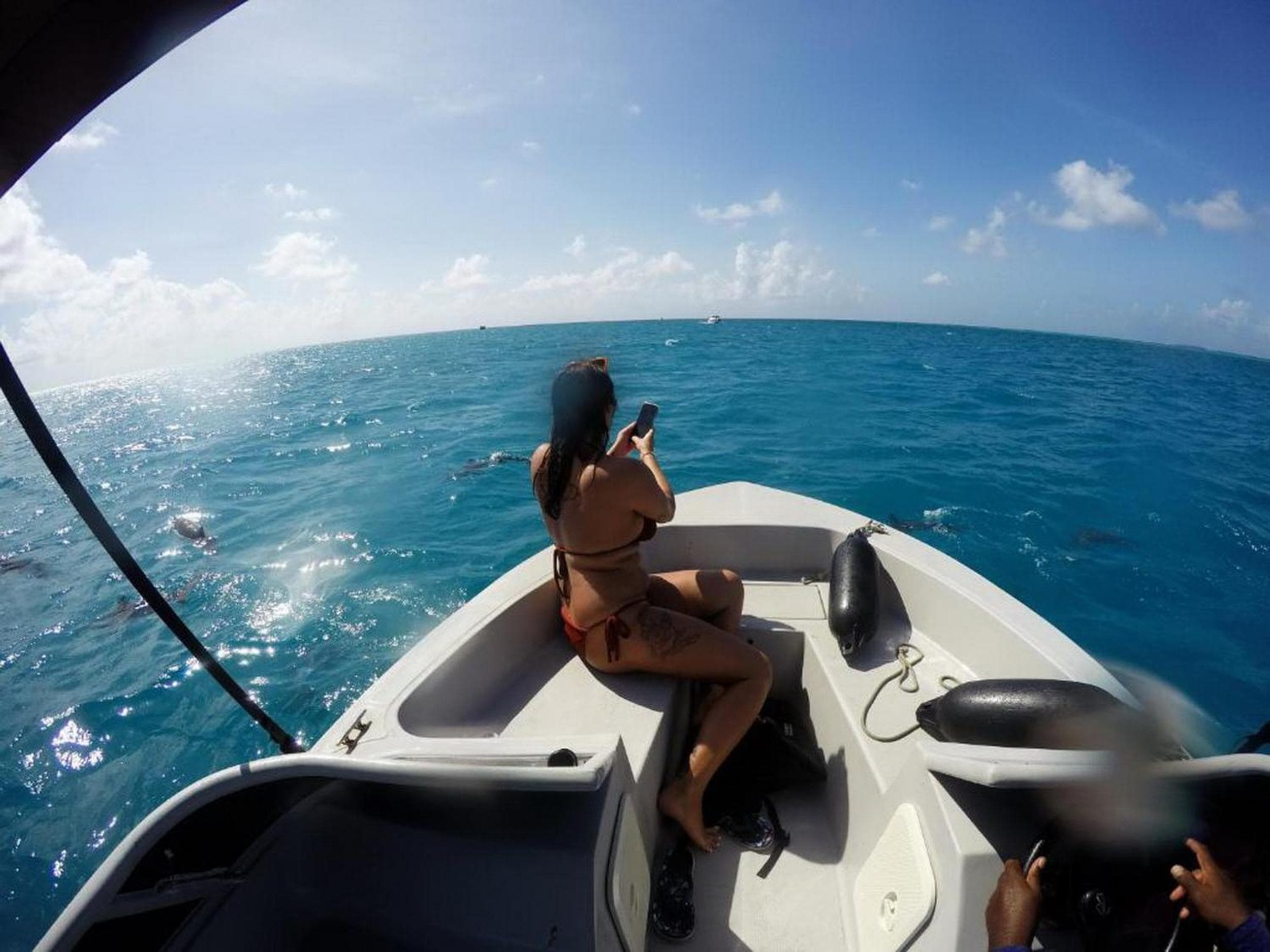 Adroit Beach Inn - View 177