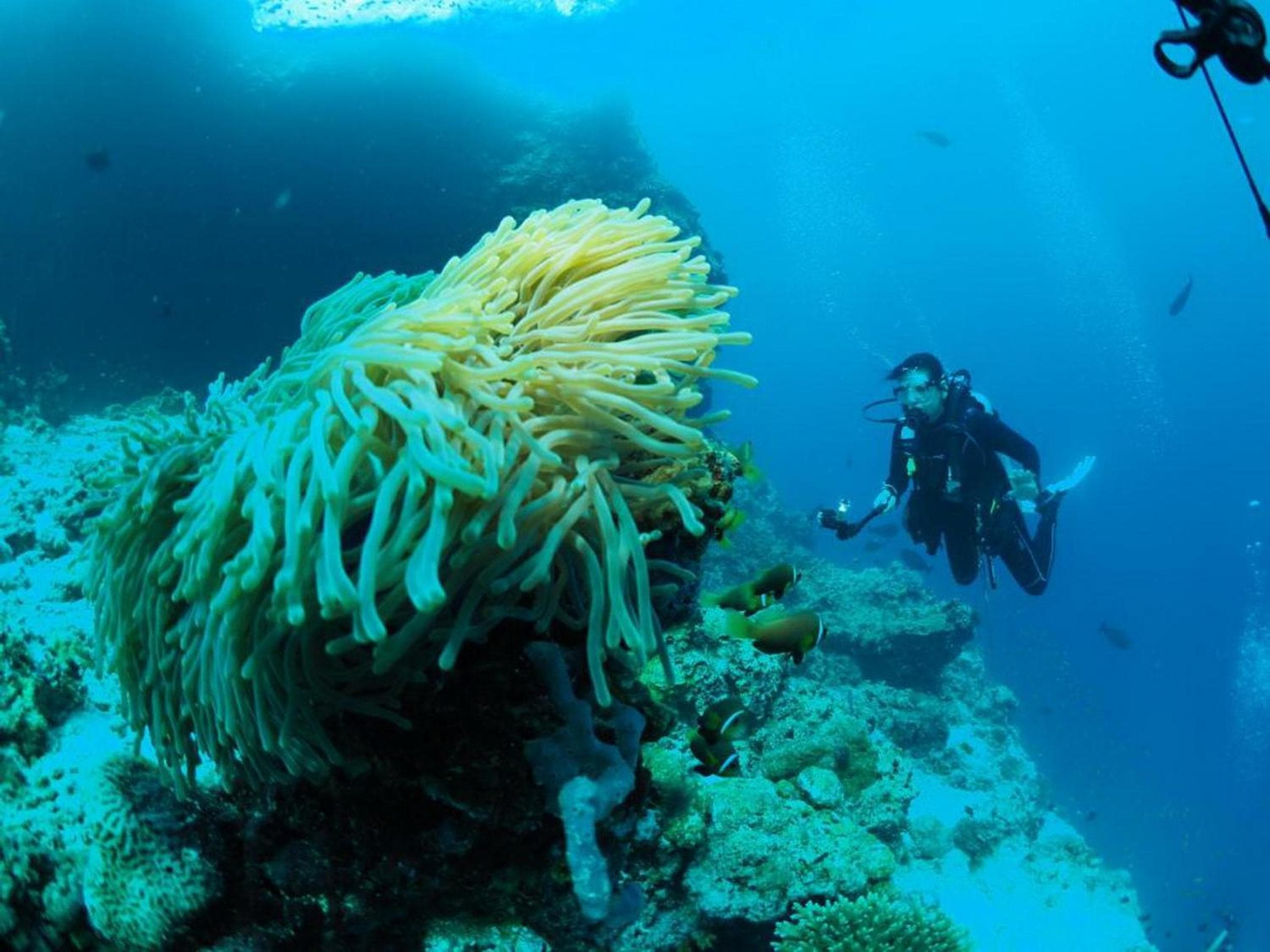 Adroit Beach Inn - View 183