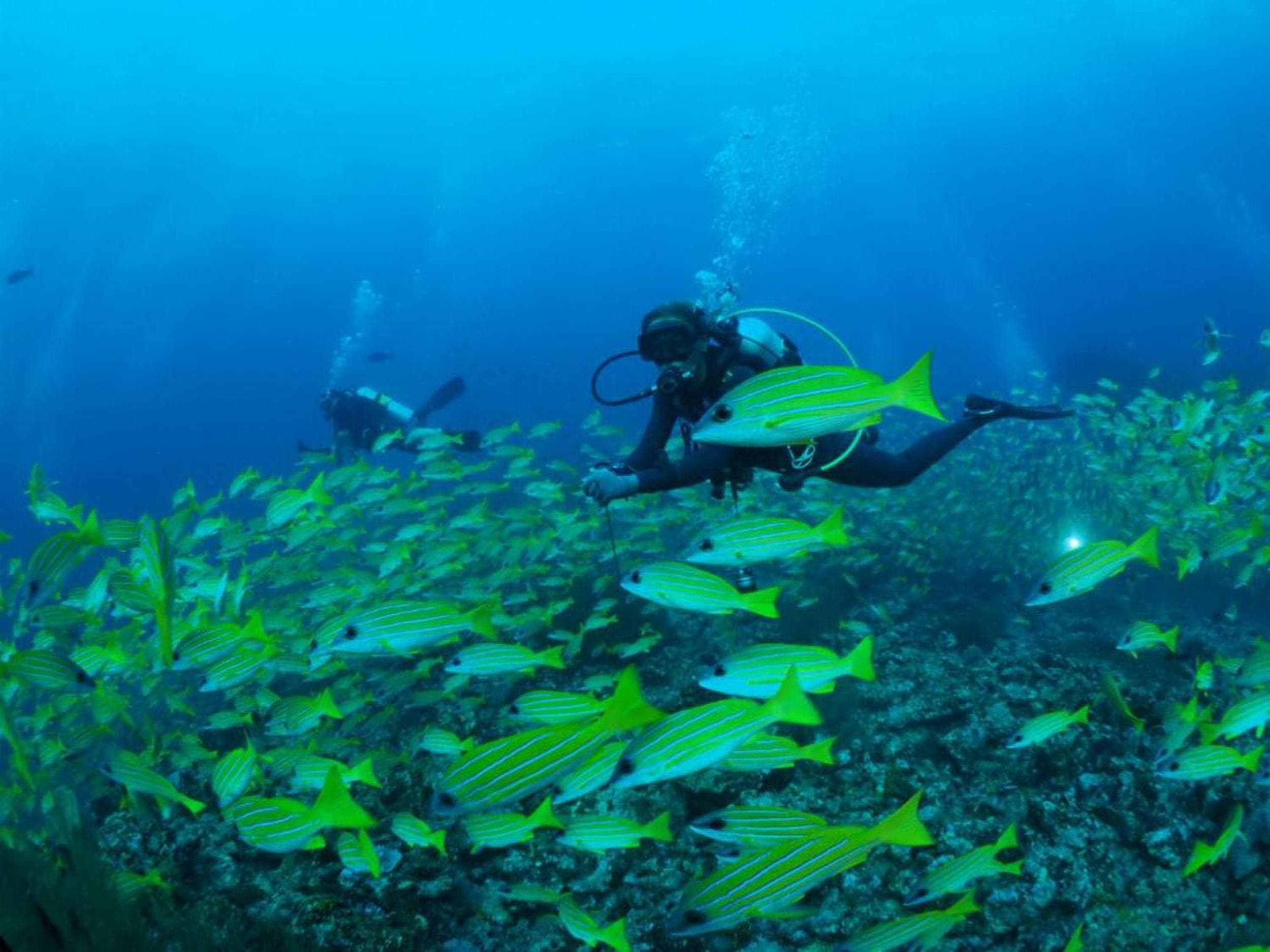 Adroit Beach Inn - View 185