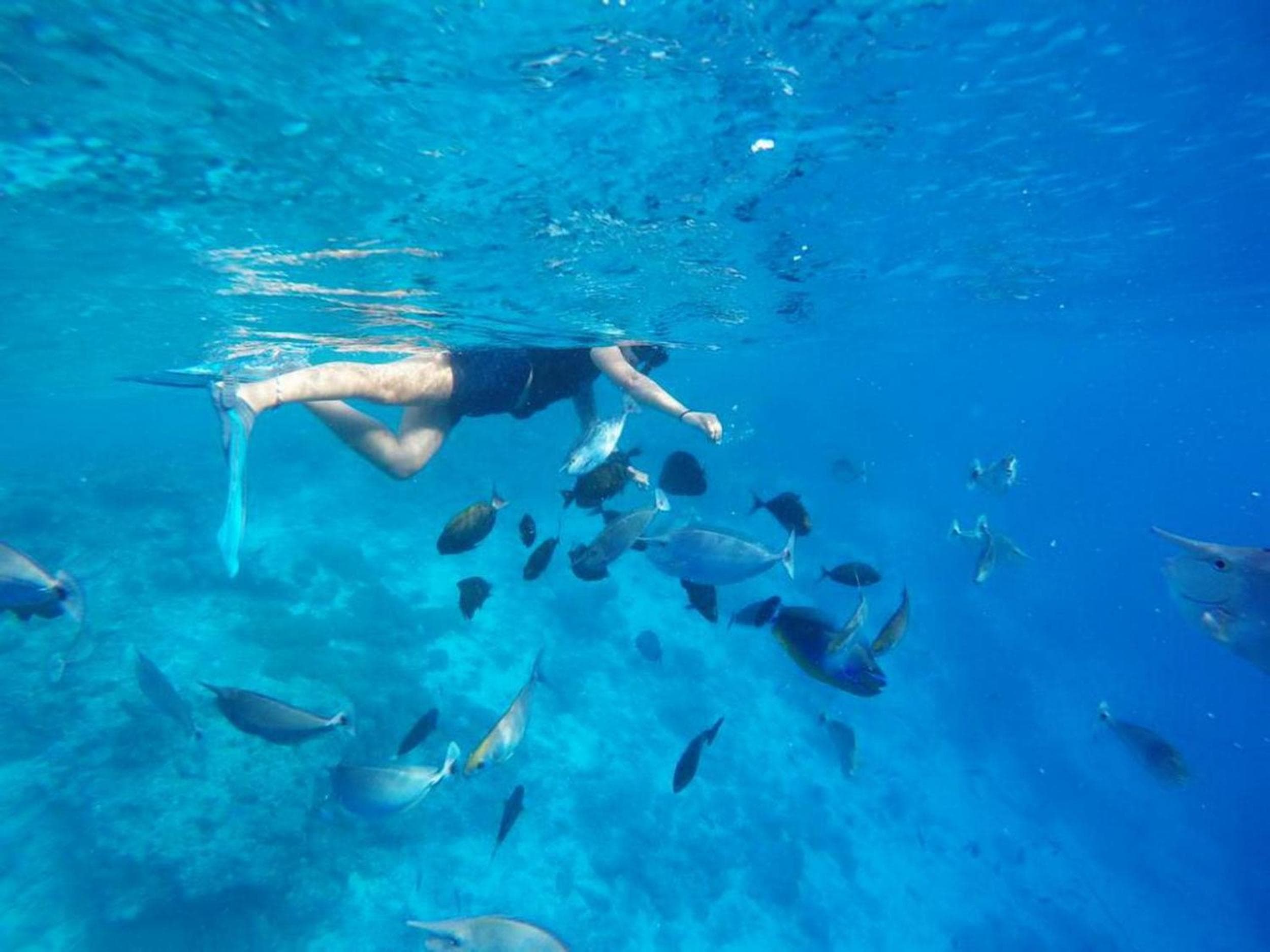 Adroit Beach Inn - View 197