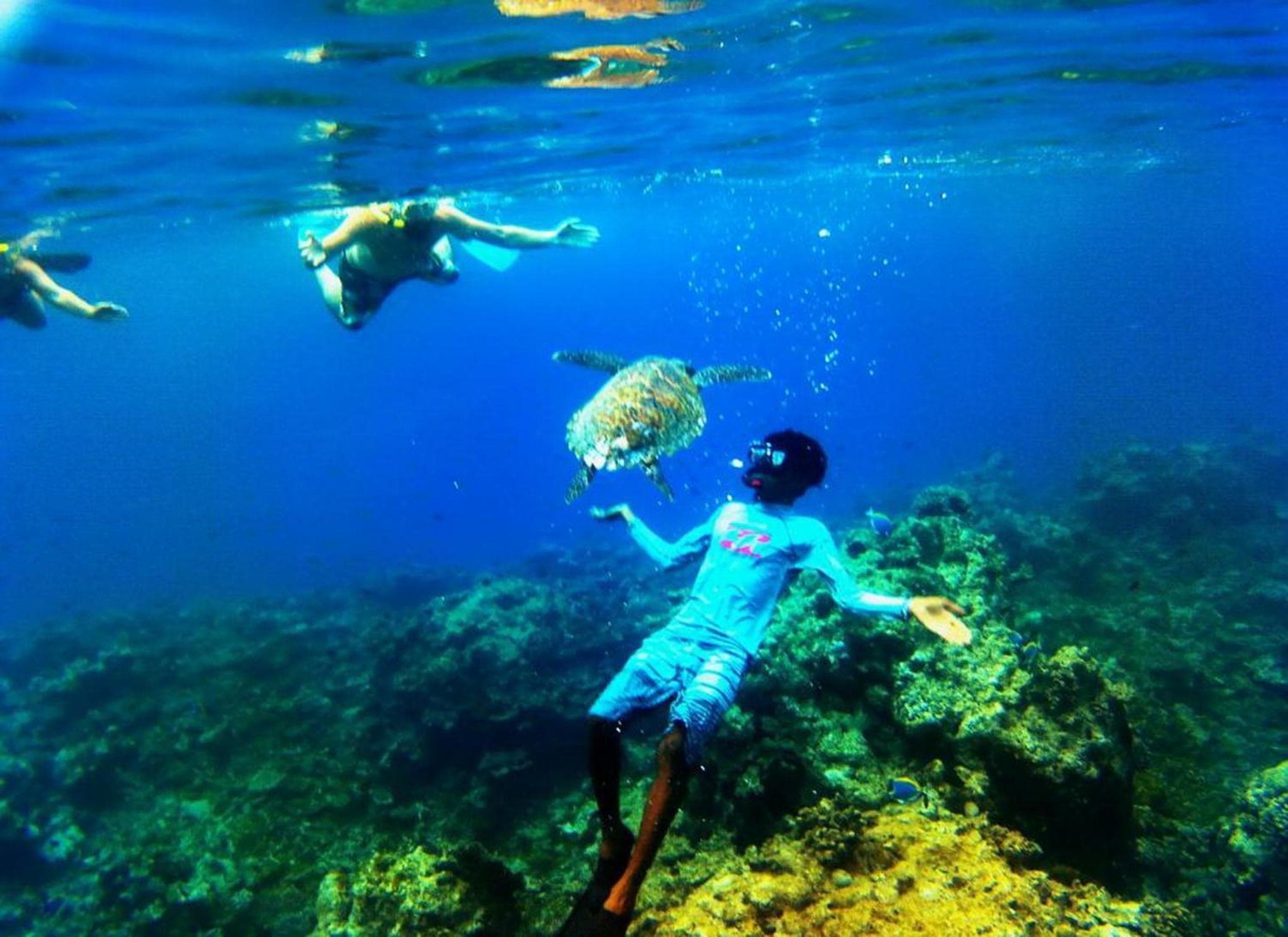 Adroit Beach Inn - View 236