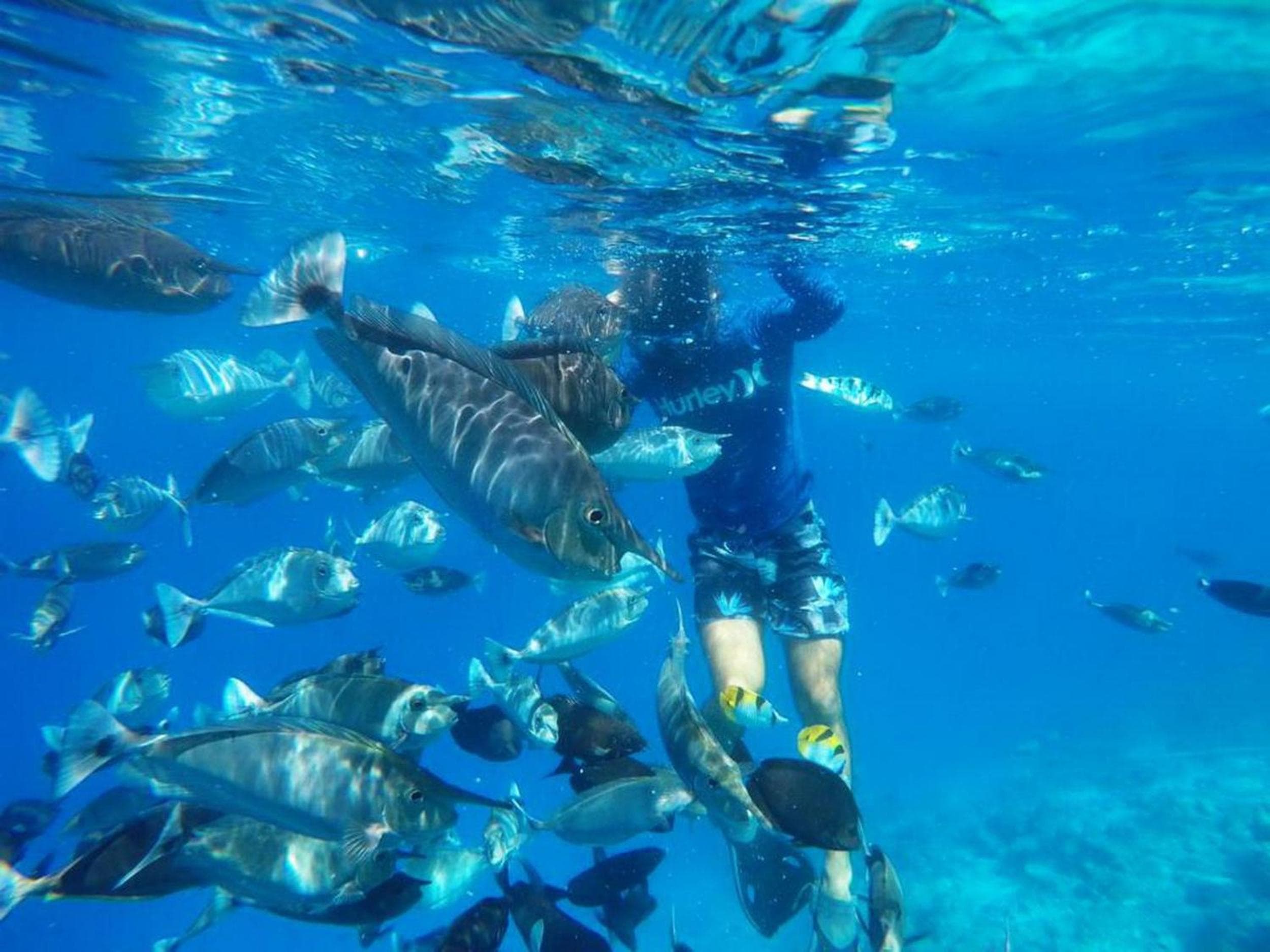 Adroit Beach Inn - View 199