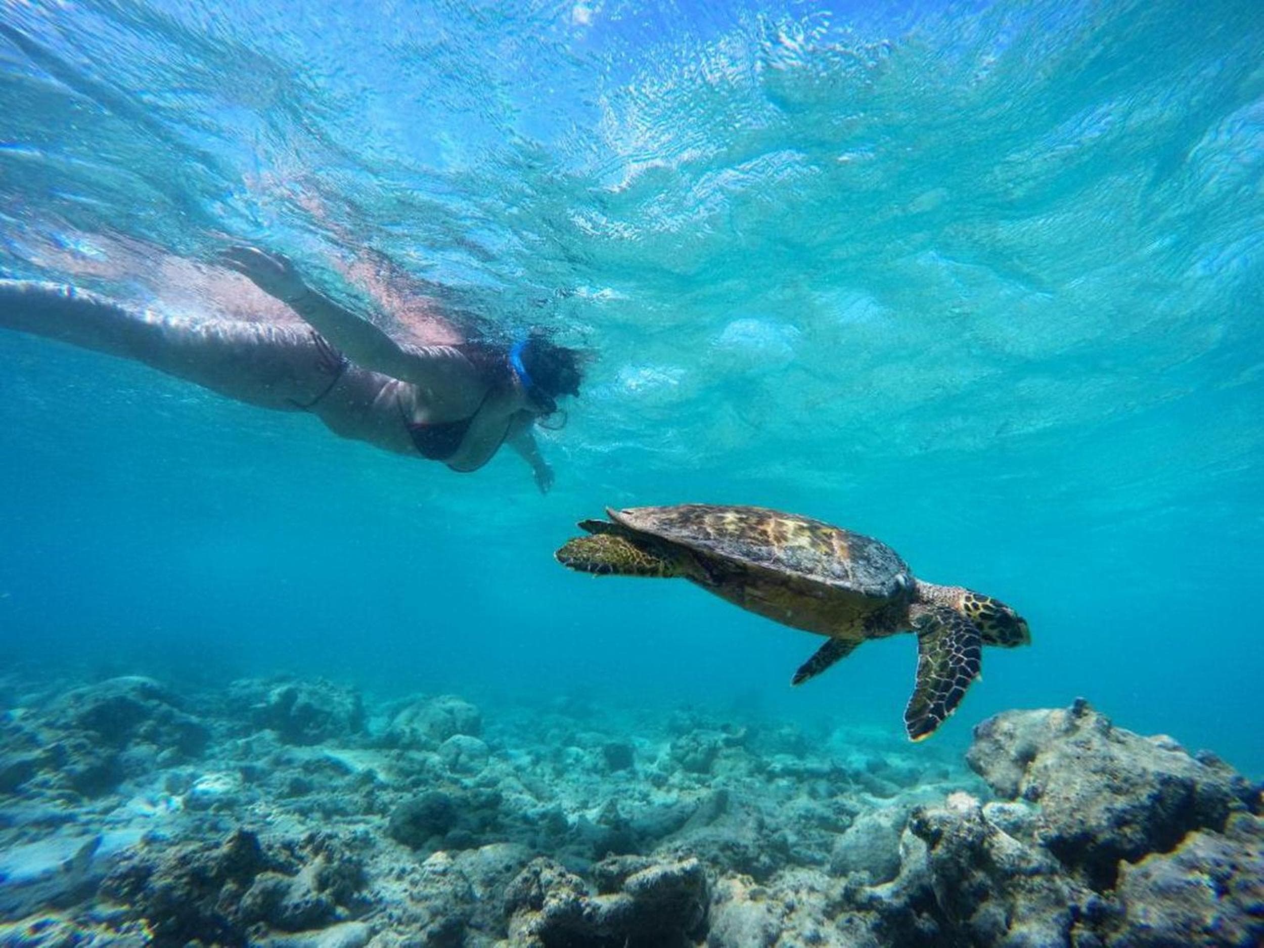 Adroit Beach Inn - View 209