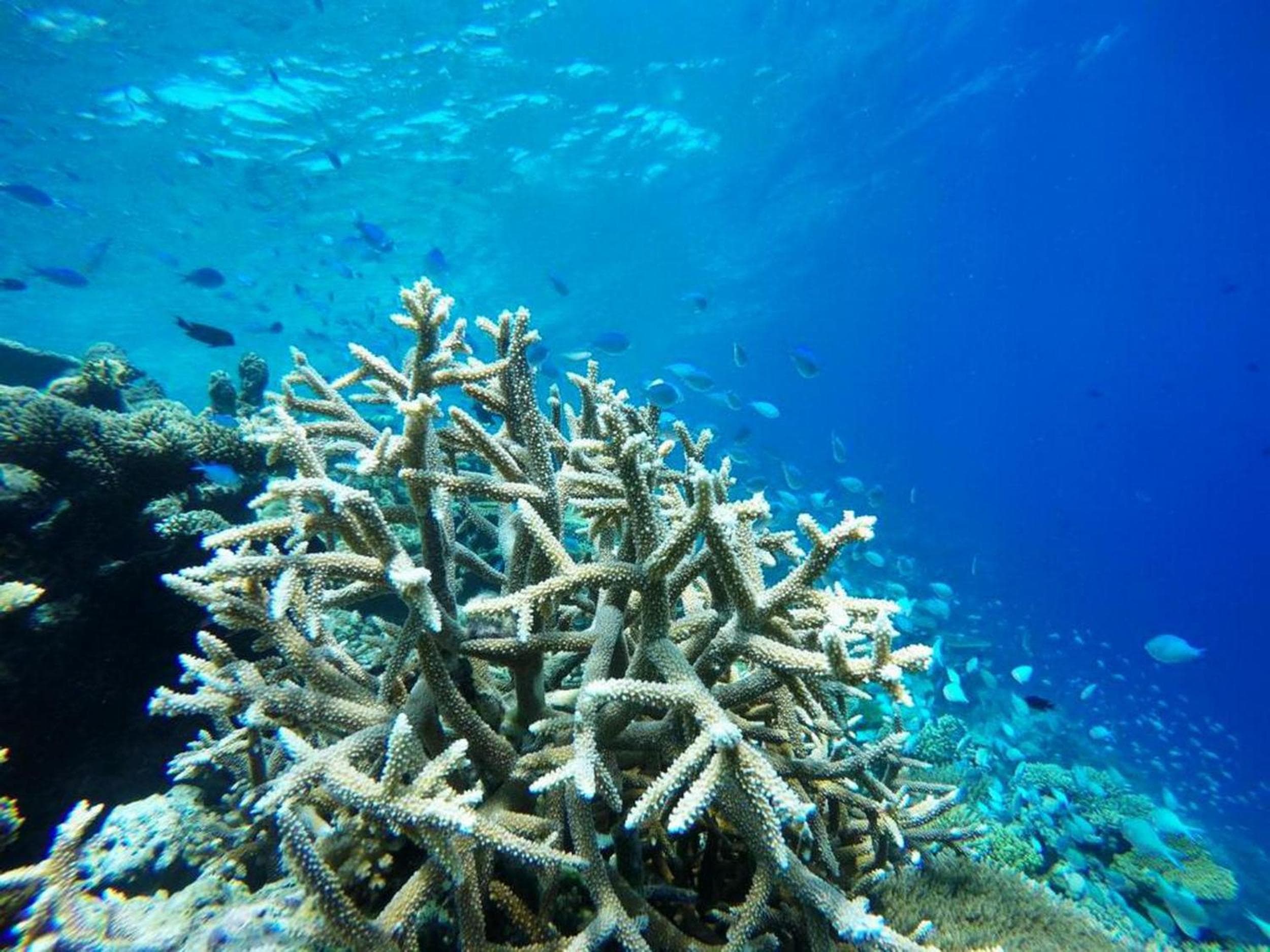 Adroit Beach Inn - View 207