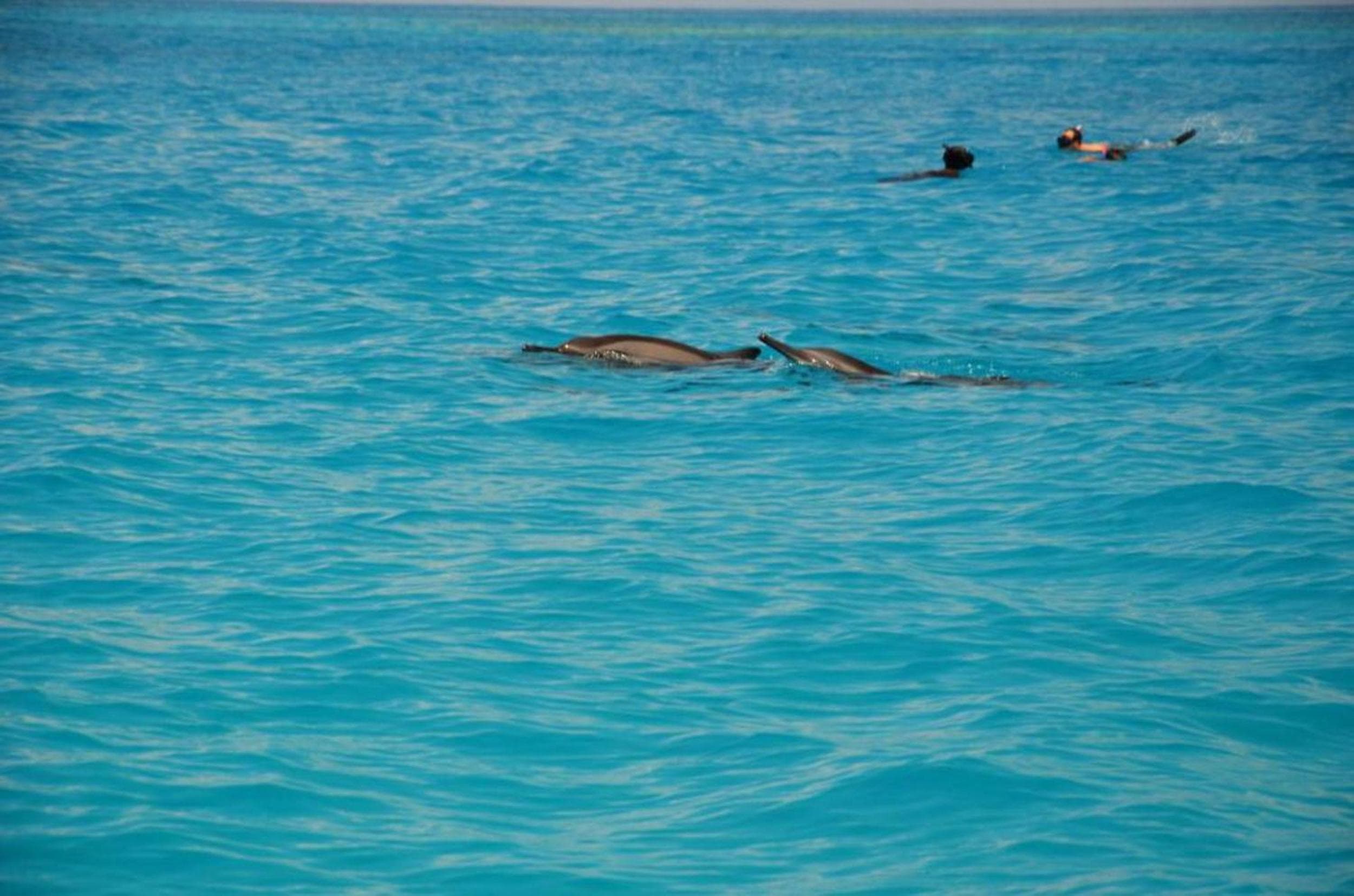 Adroit Beach Inn - View 221