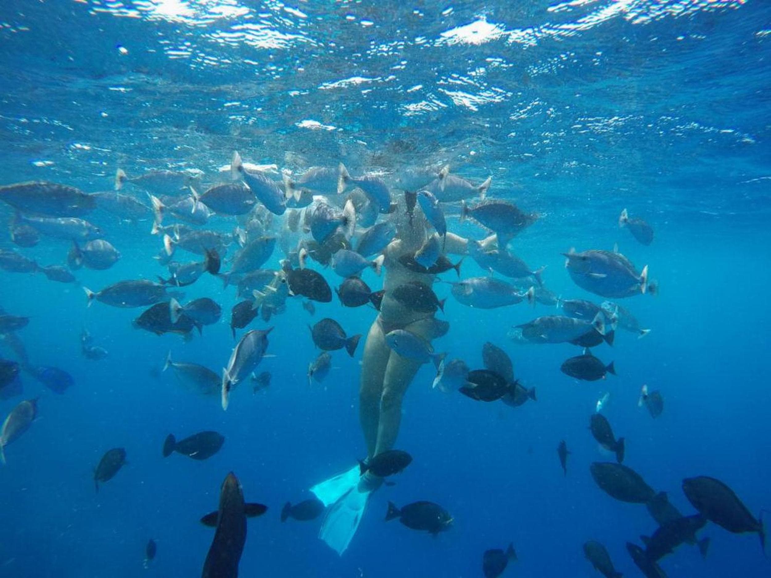 Adroit Beach Inn - View 219