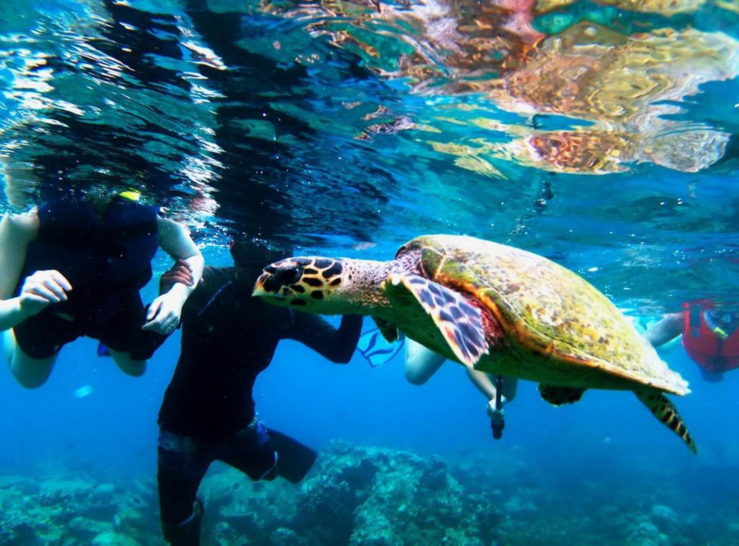 Adroit Beach Inn - View 211