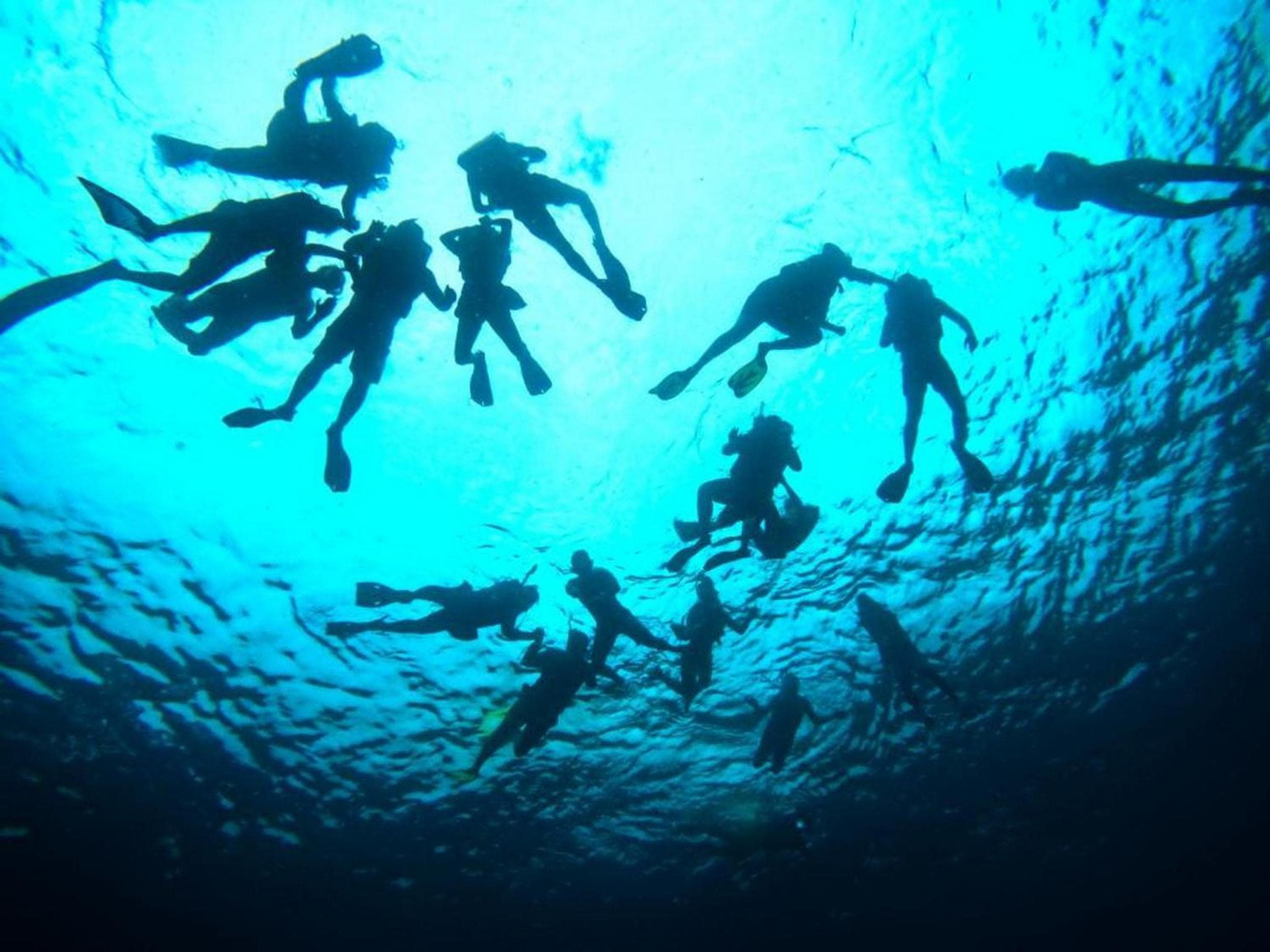 Adroit Beach Inn - View 246