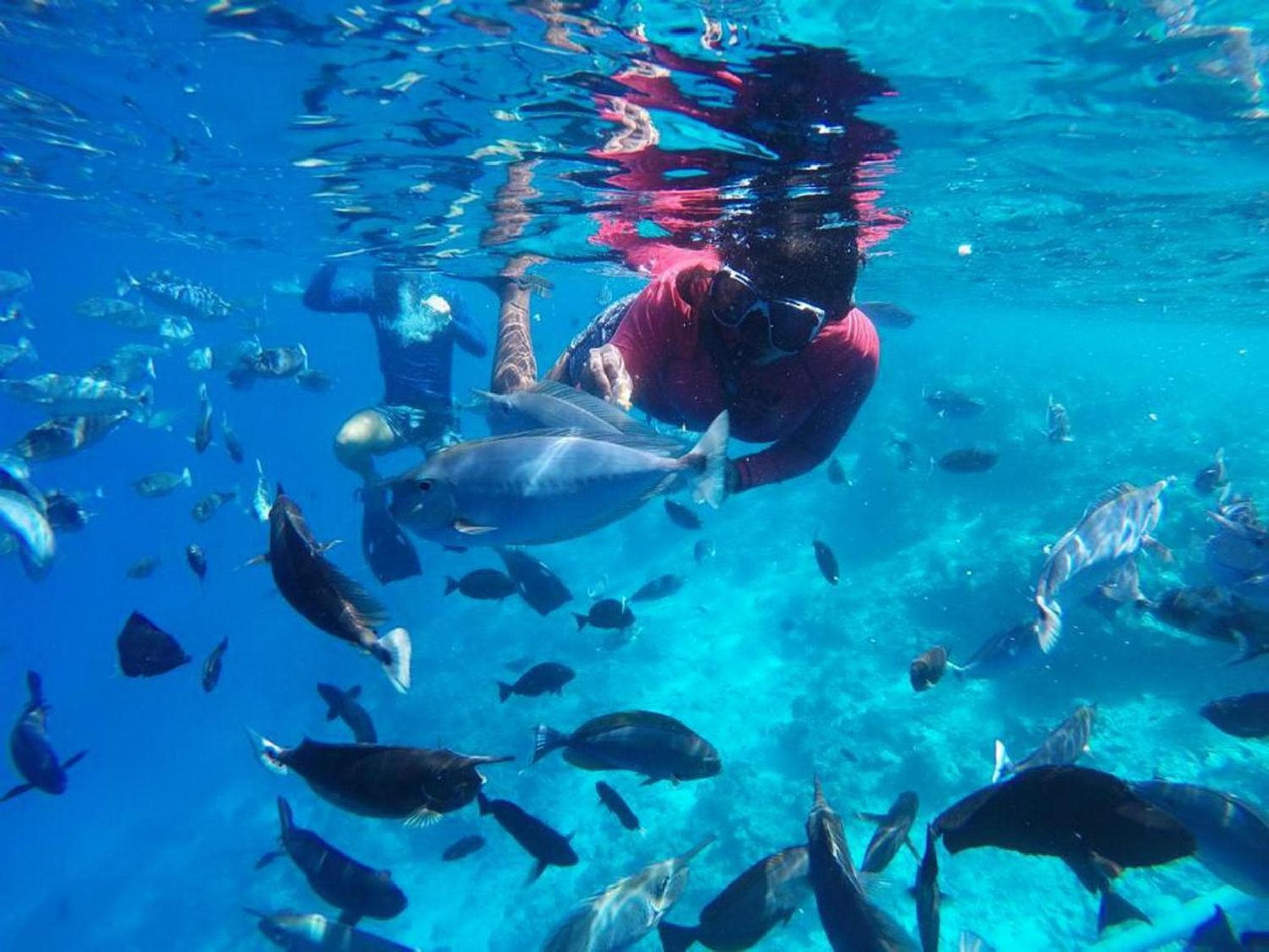 Adroit Beach Inn - View 232