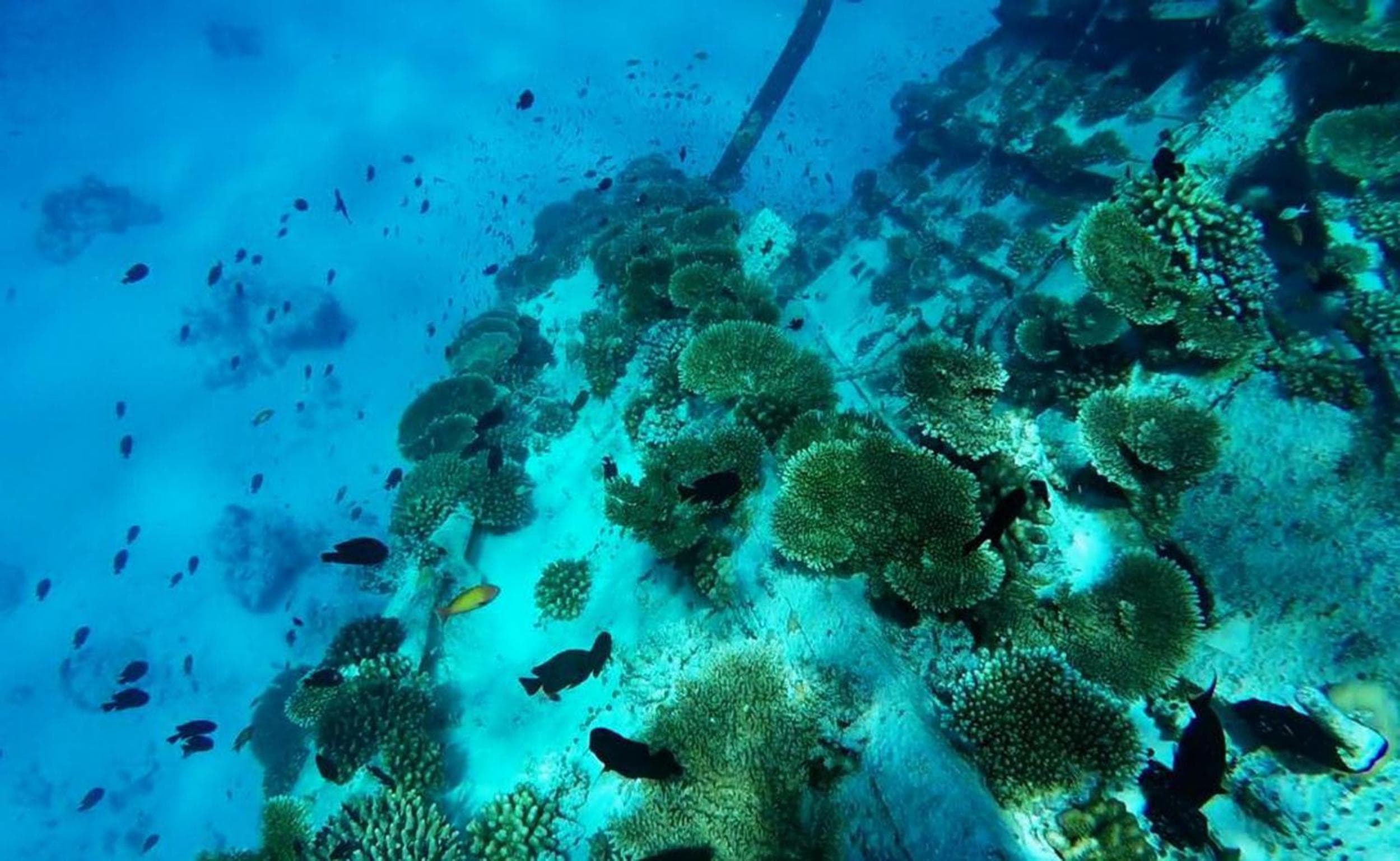 Adroit Beach Inn - View 248