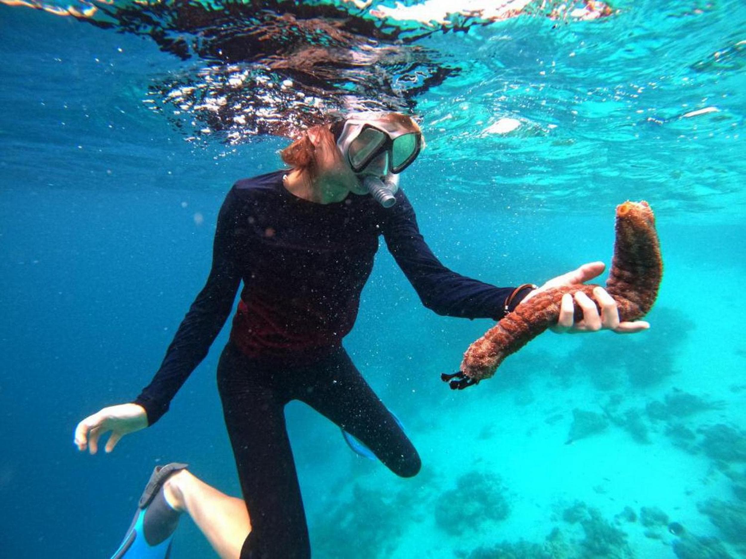 Adroit Beach Inn - View 227