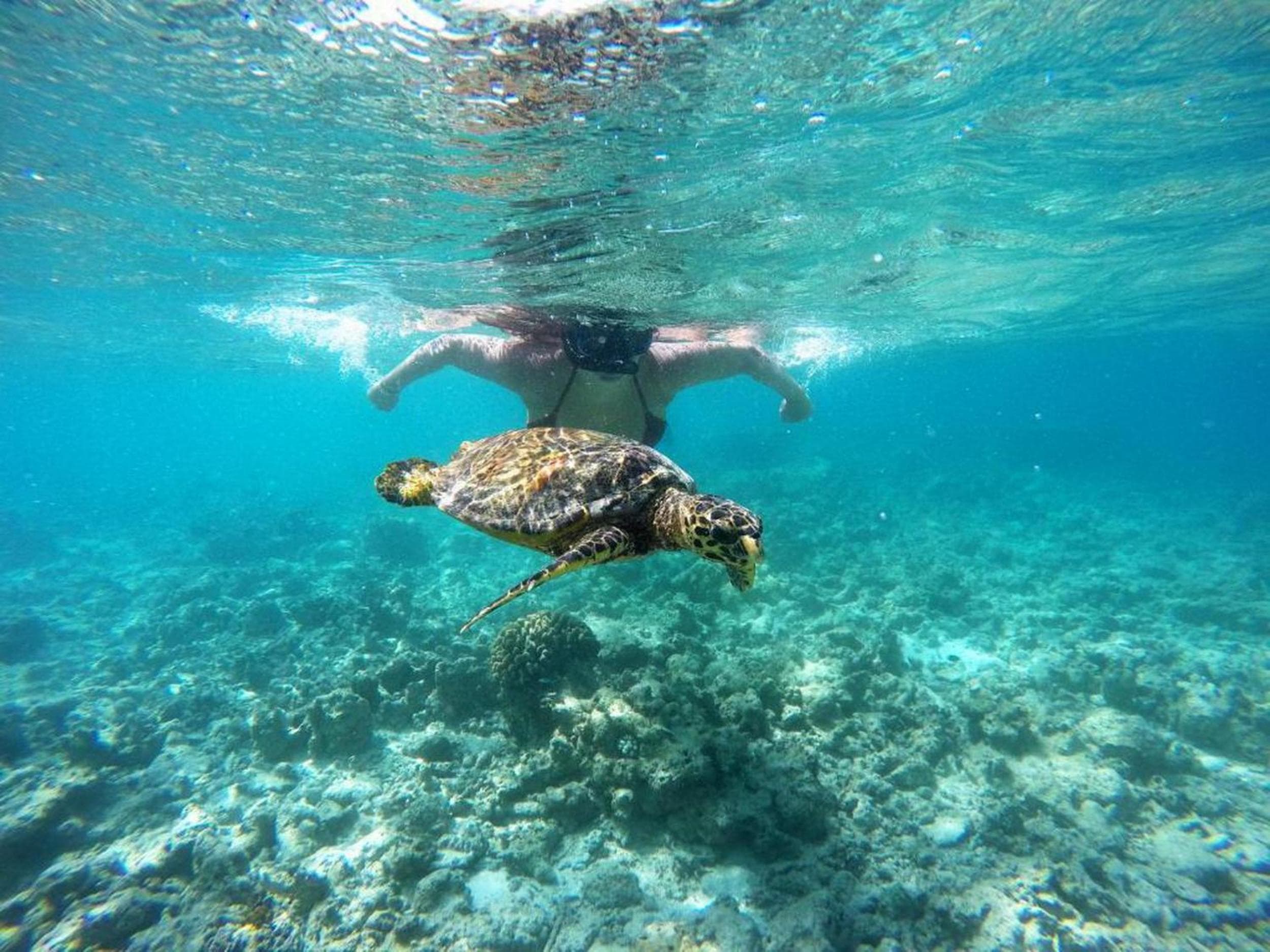 Adroit Beach Inn - View 247