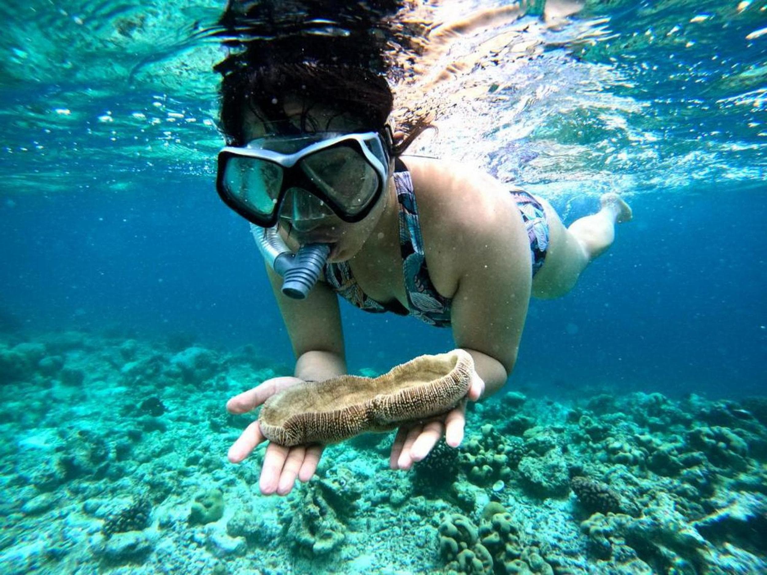 Adroit Beach Inn - View 223