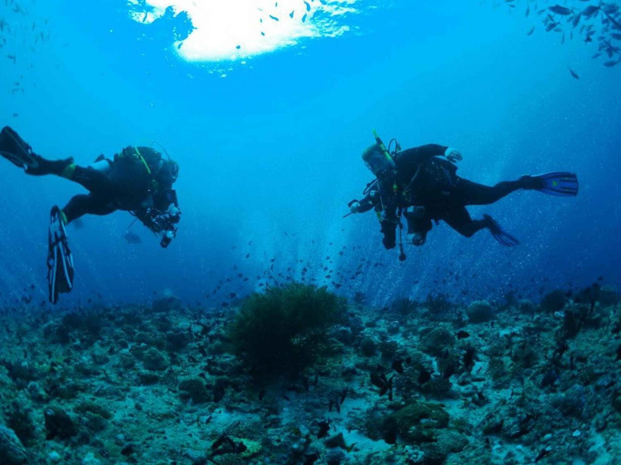 Adroit Beach Inn - View 225