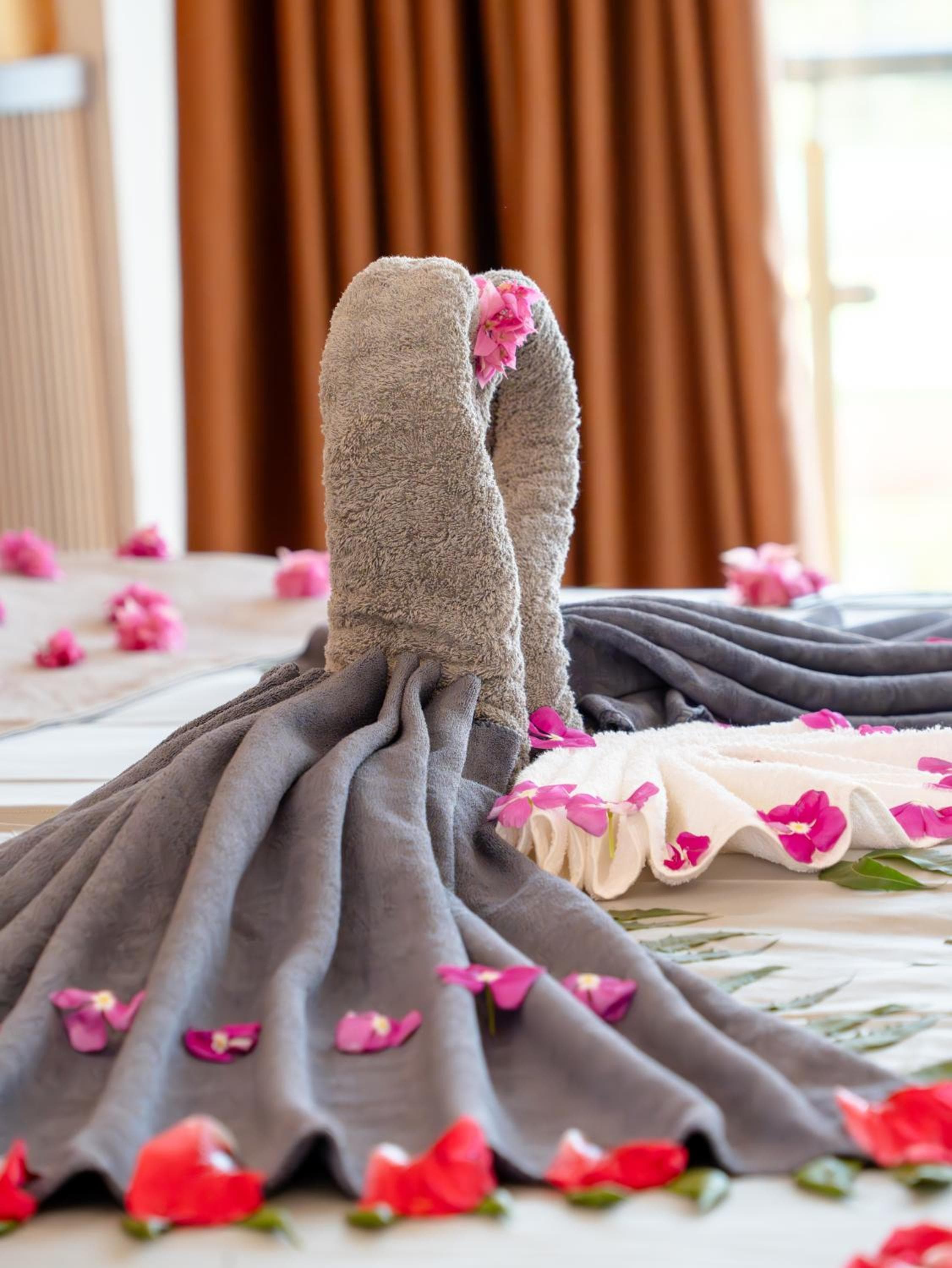 Ahola Thoddoo, Maldives - View 38