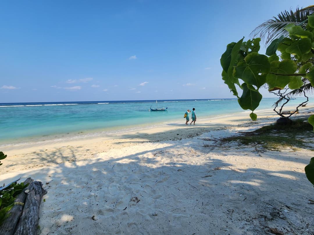 The Hive Beach - View 7