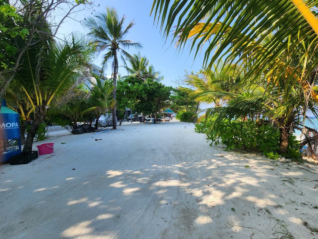The Hive Beach - View 2