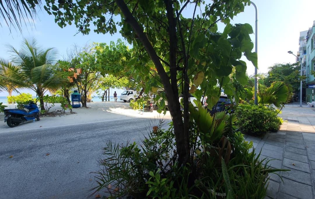 The Hive Beach - View 23