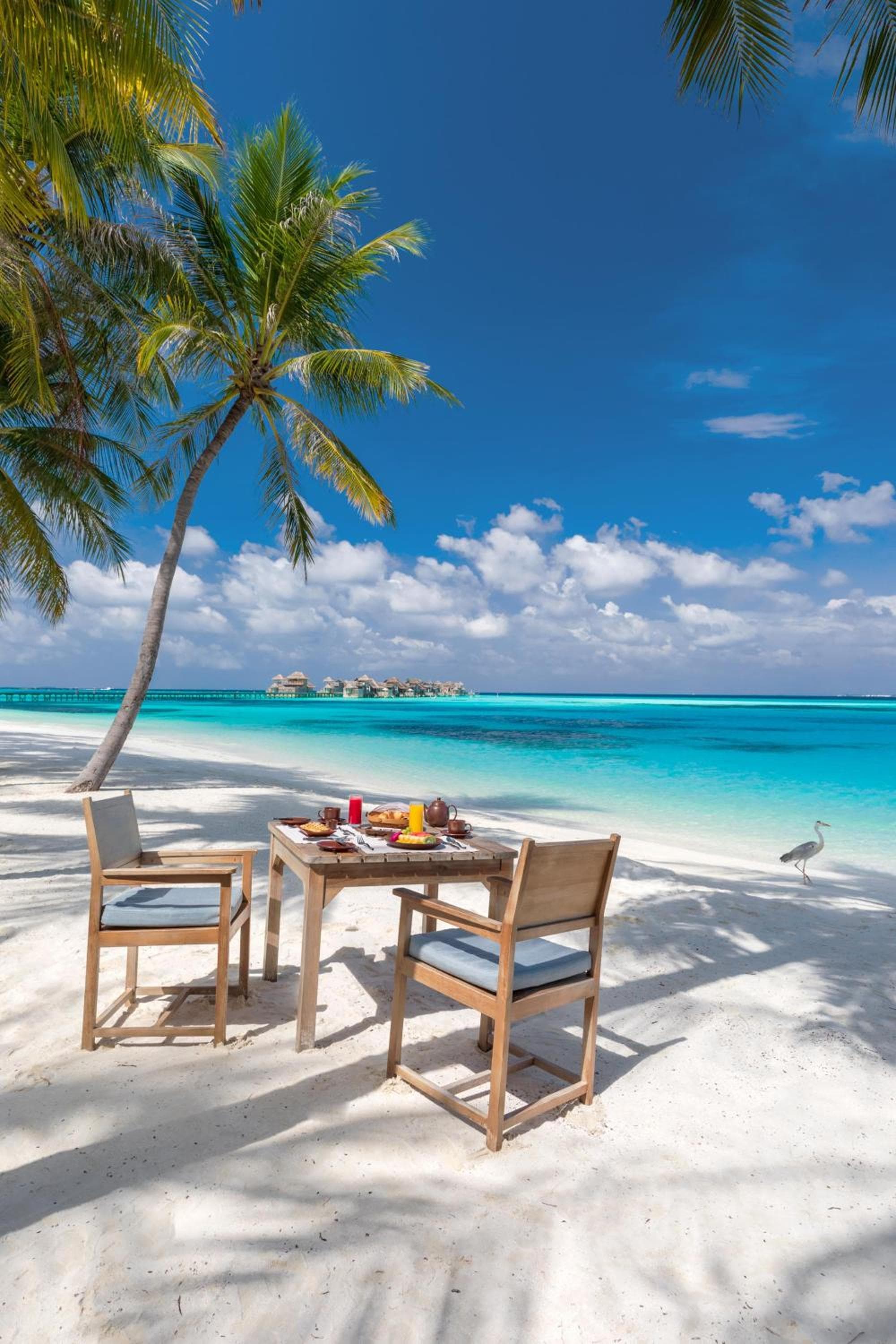 Gili Lankanfushi Maldives - View 41