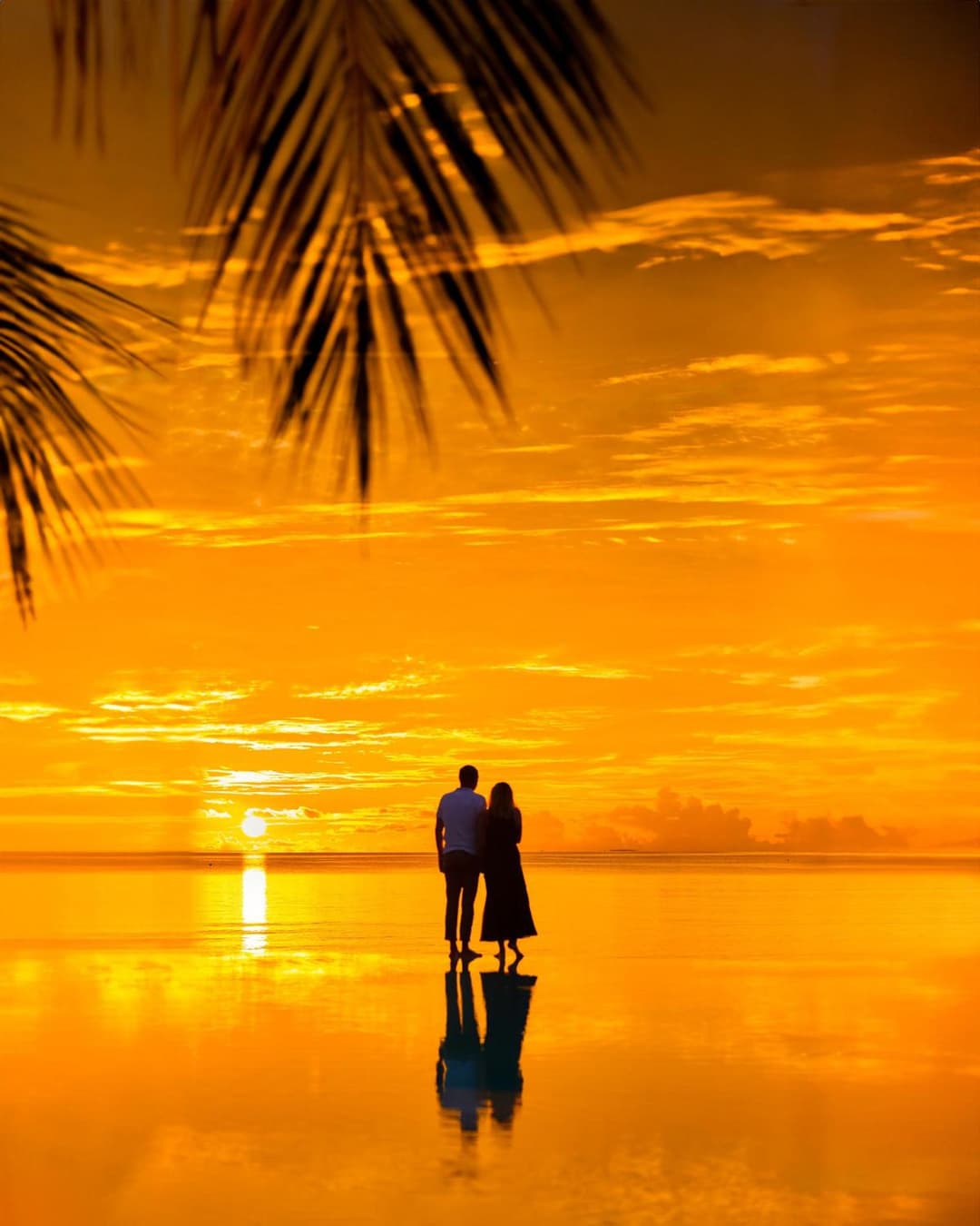 Jawakara Islands Maldives - View 26