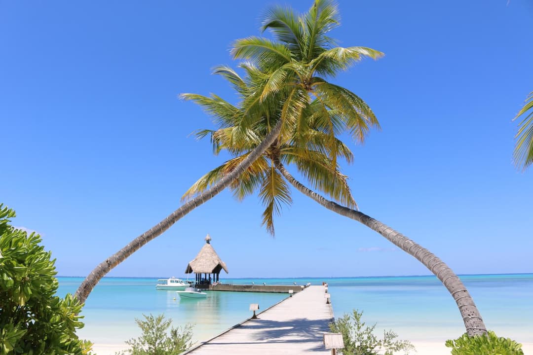 Canareef Resort Maldives - View 14