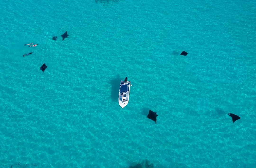 Ukulhas Sands - View 81