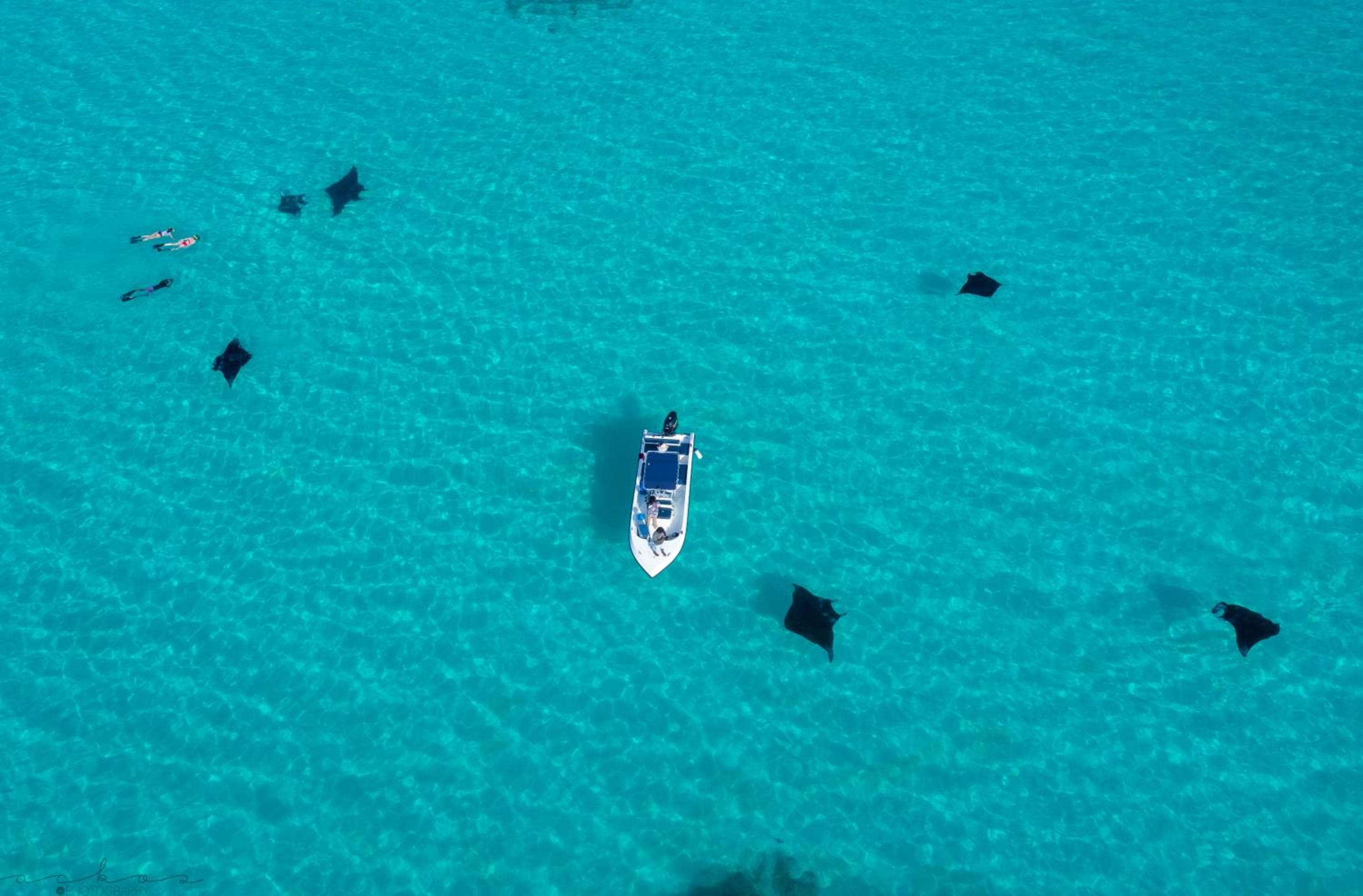 Ukulhas Sands - View 82