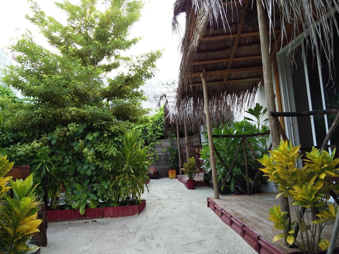 Maafushi View - View 2