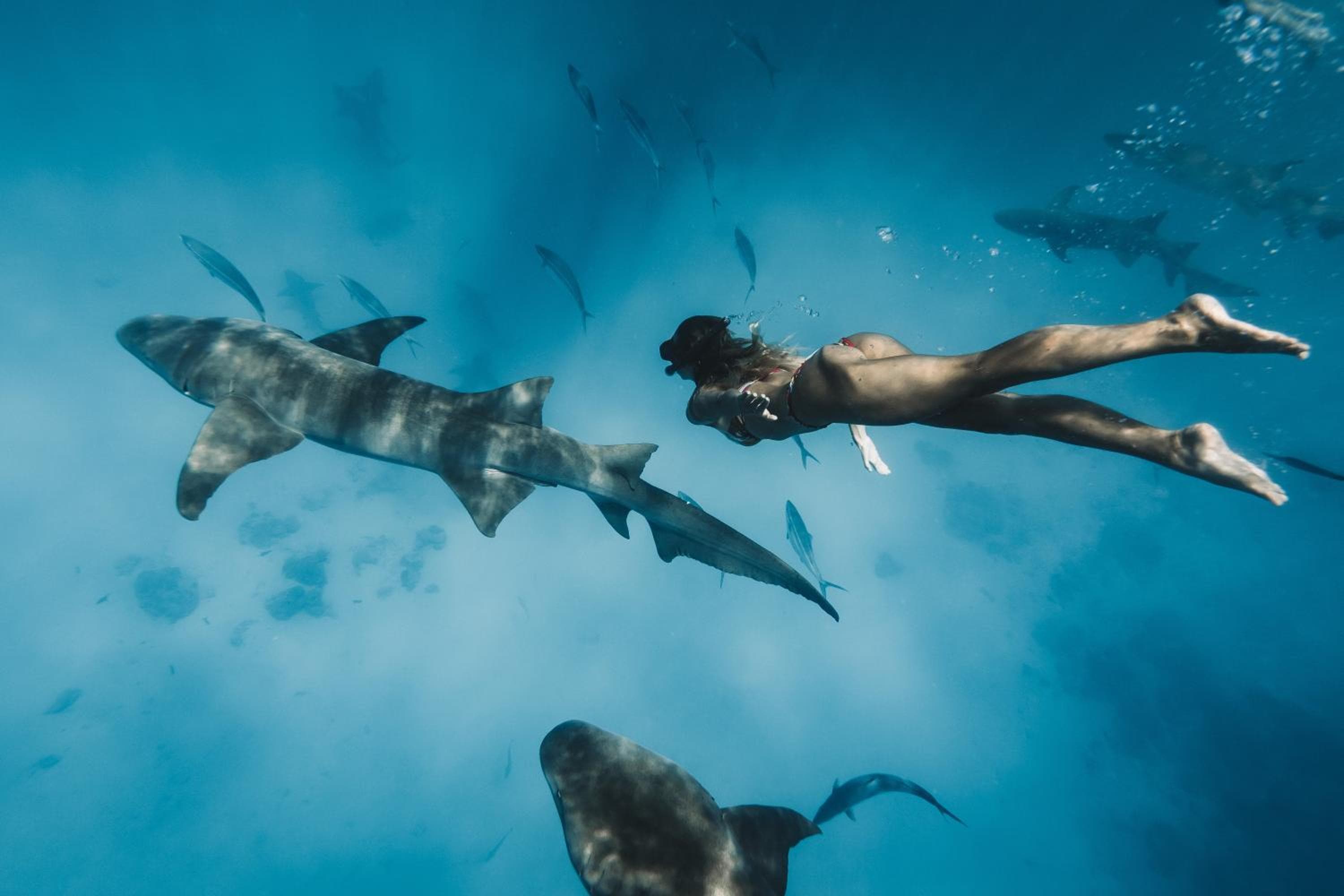 The Zen Den - View 59