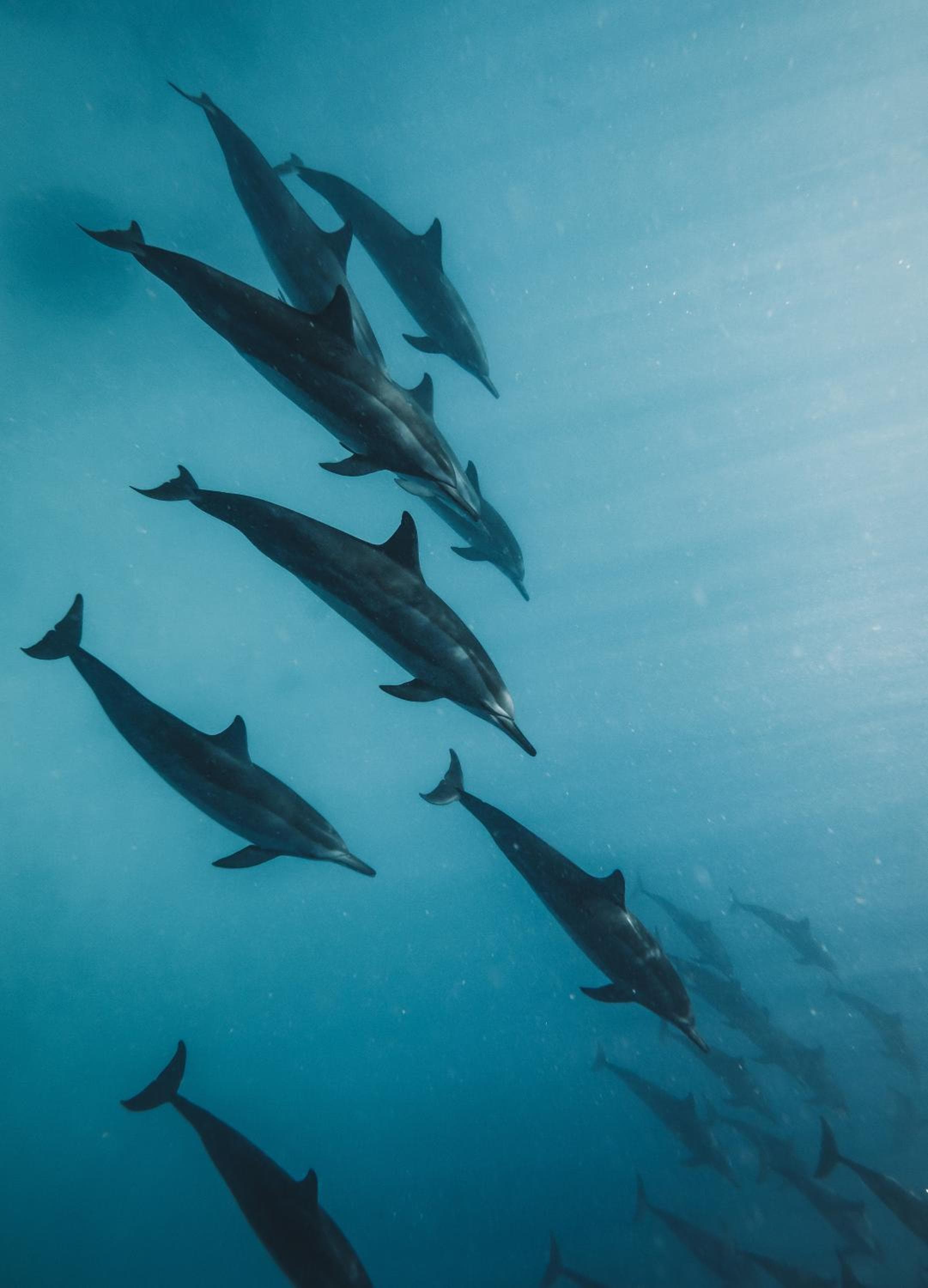 The Zen Den - View 6