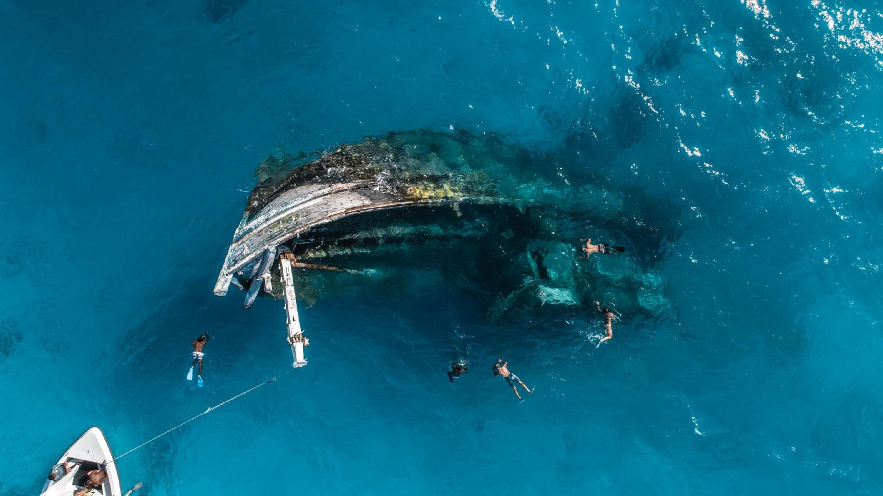 The Zen Den - View 9