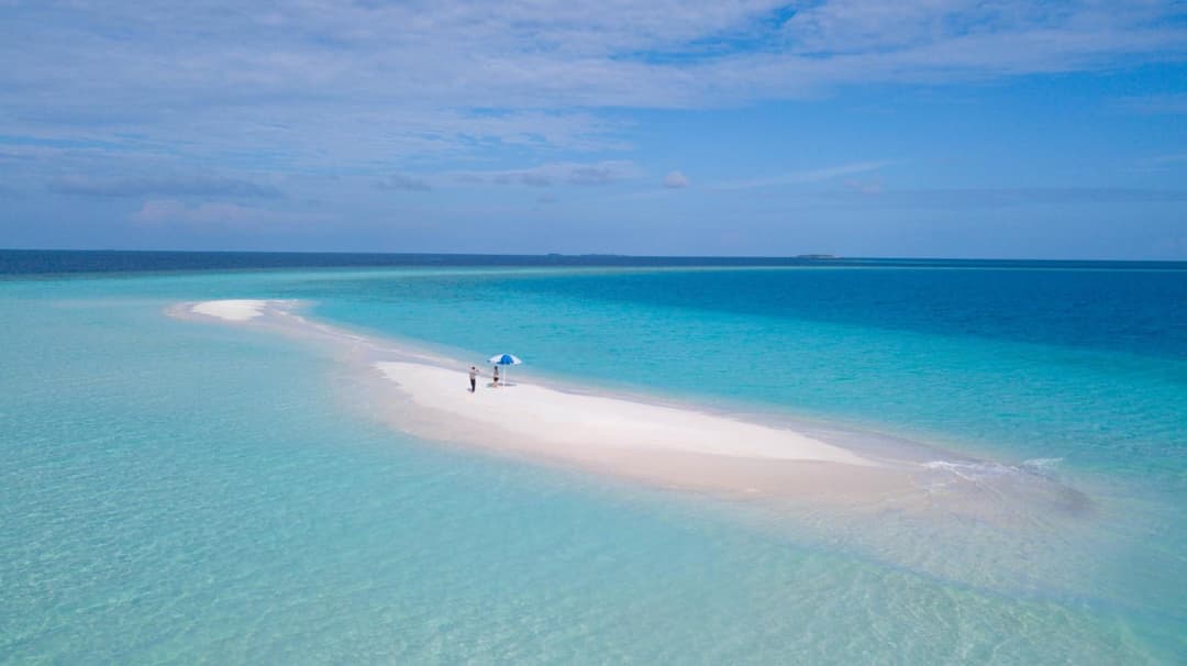 Palm Oasis at Ukulhas - View 5