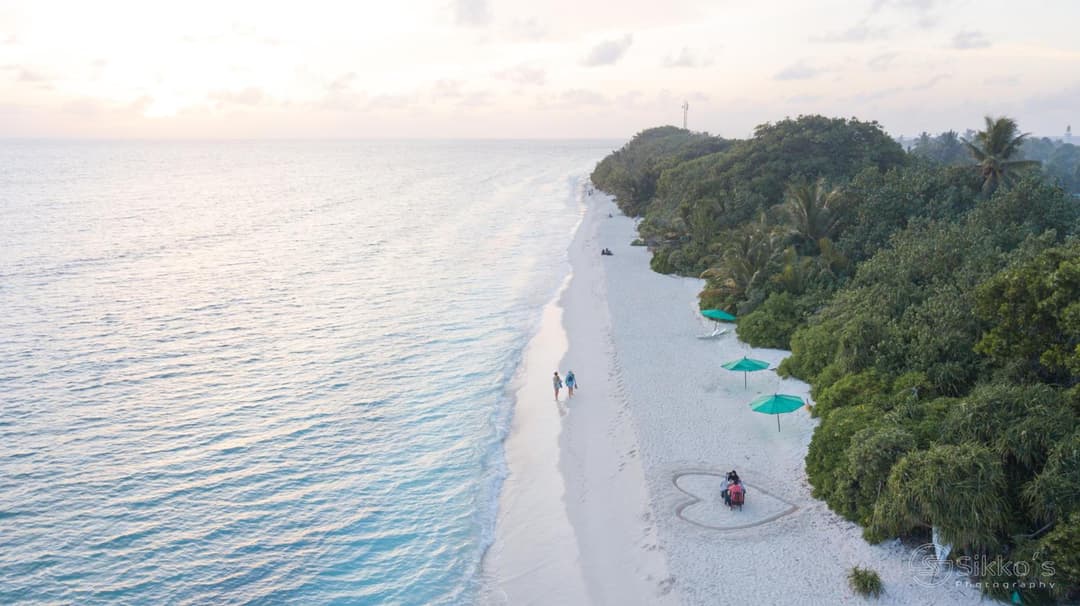 Palm Oasis at Ukulhas - View 33
