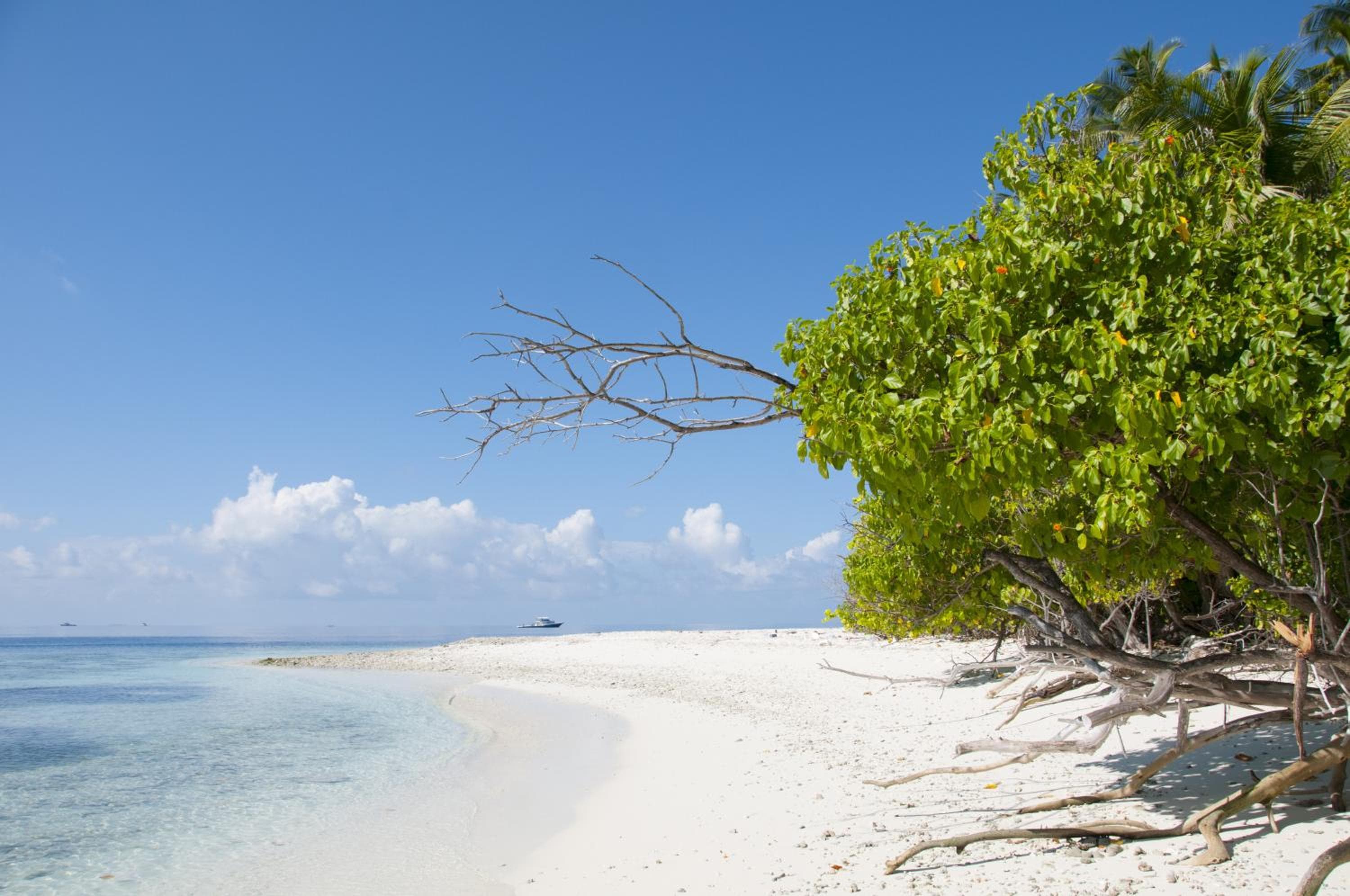 Masfalhi View Inn - View 98