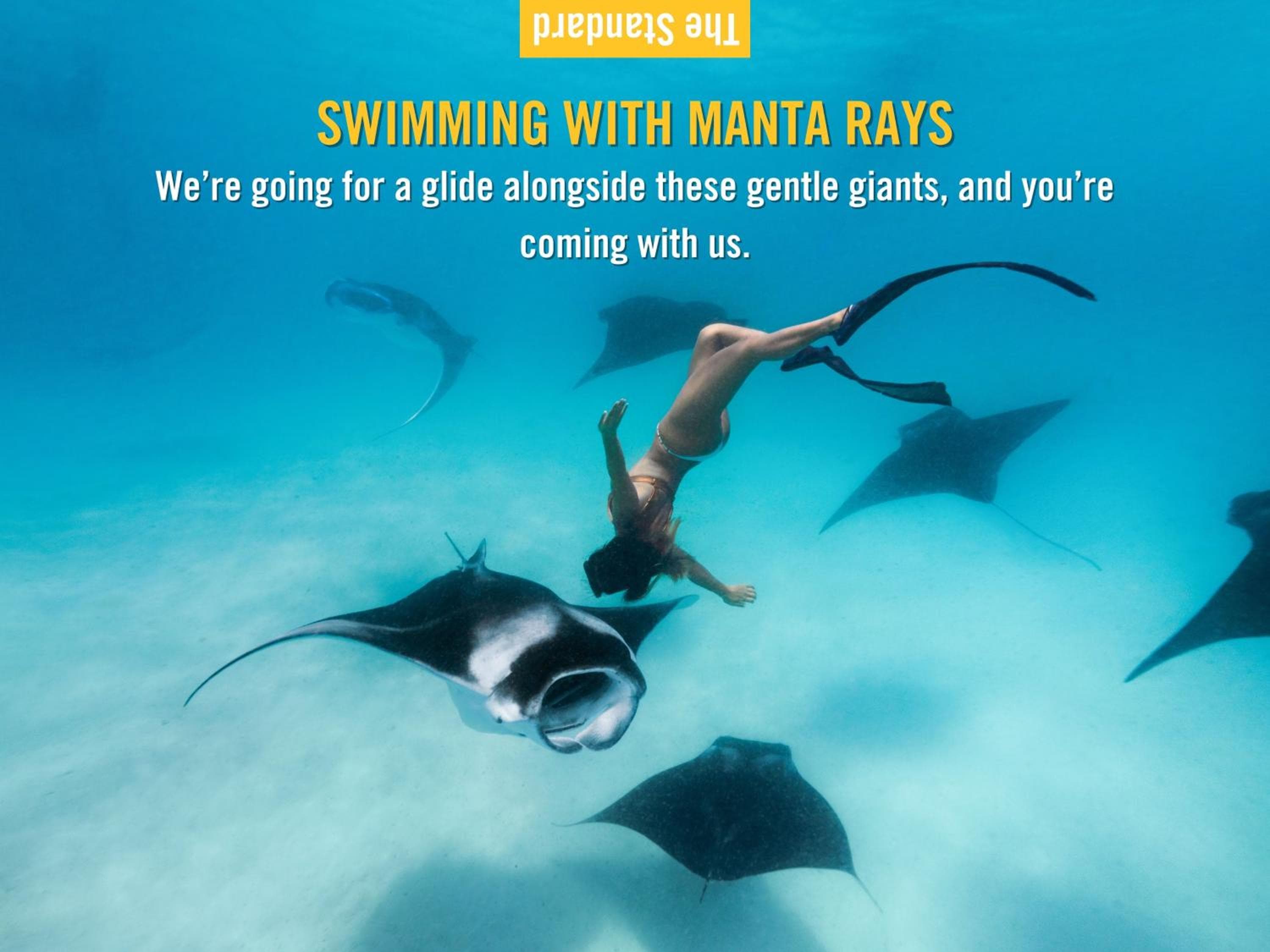 The Standard, Huruvalhi Maldives - View 2