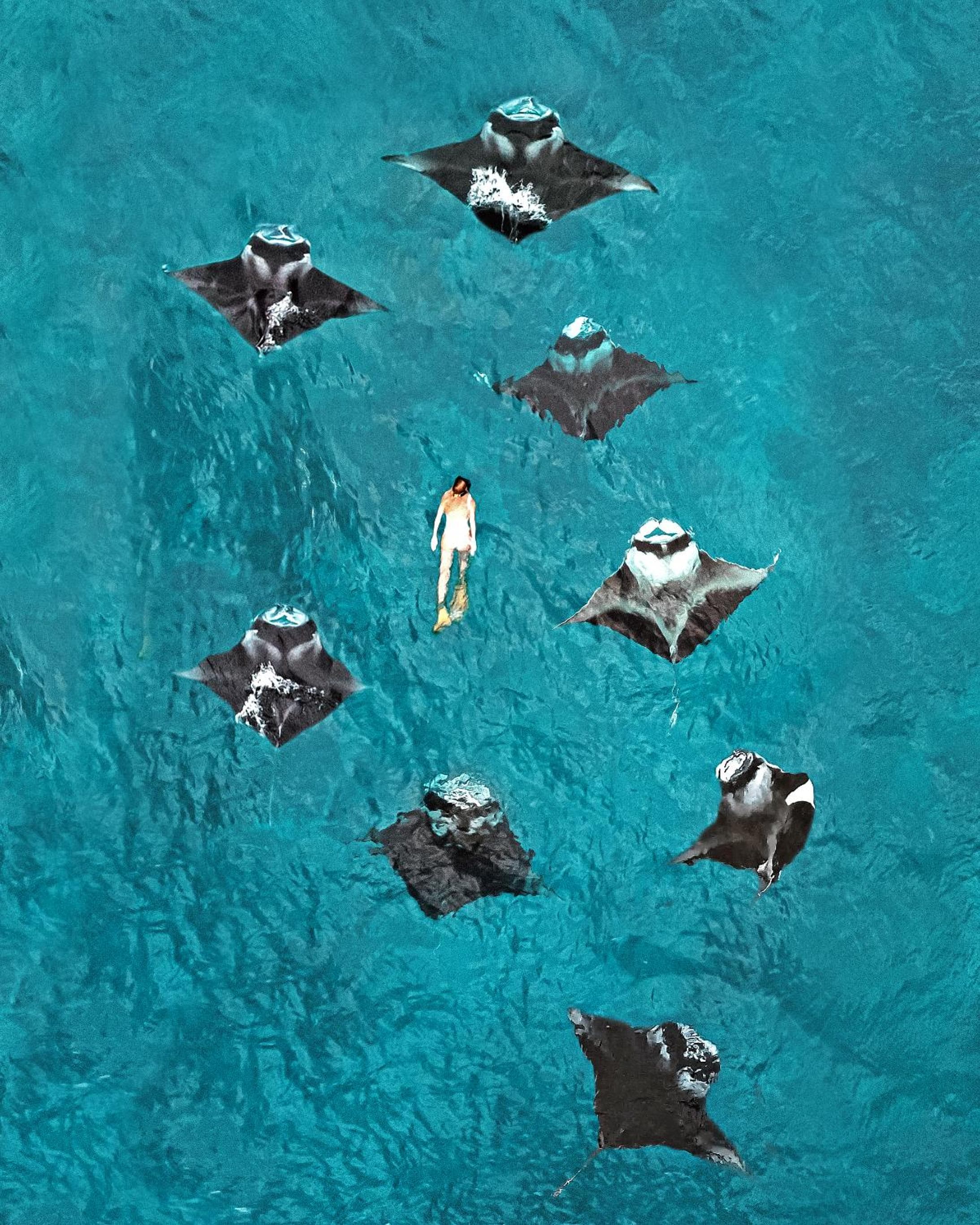 Fushifaru Maldives with 50 percent off on sea plane roundtrip 04 nights & above - View 34