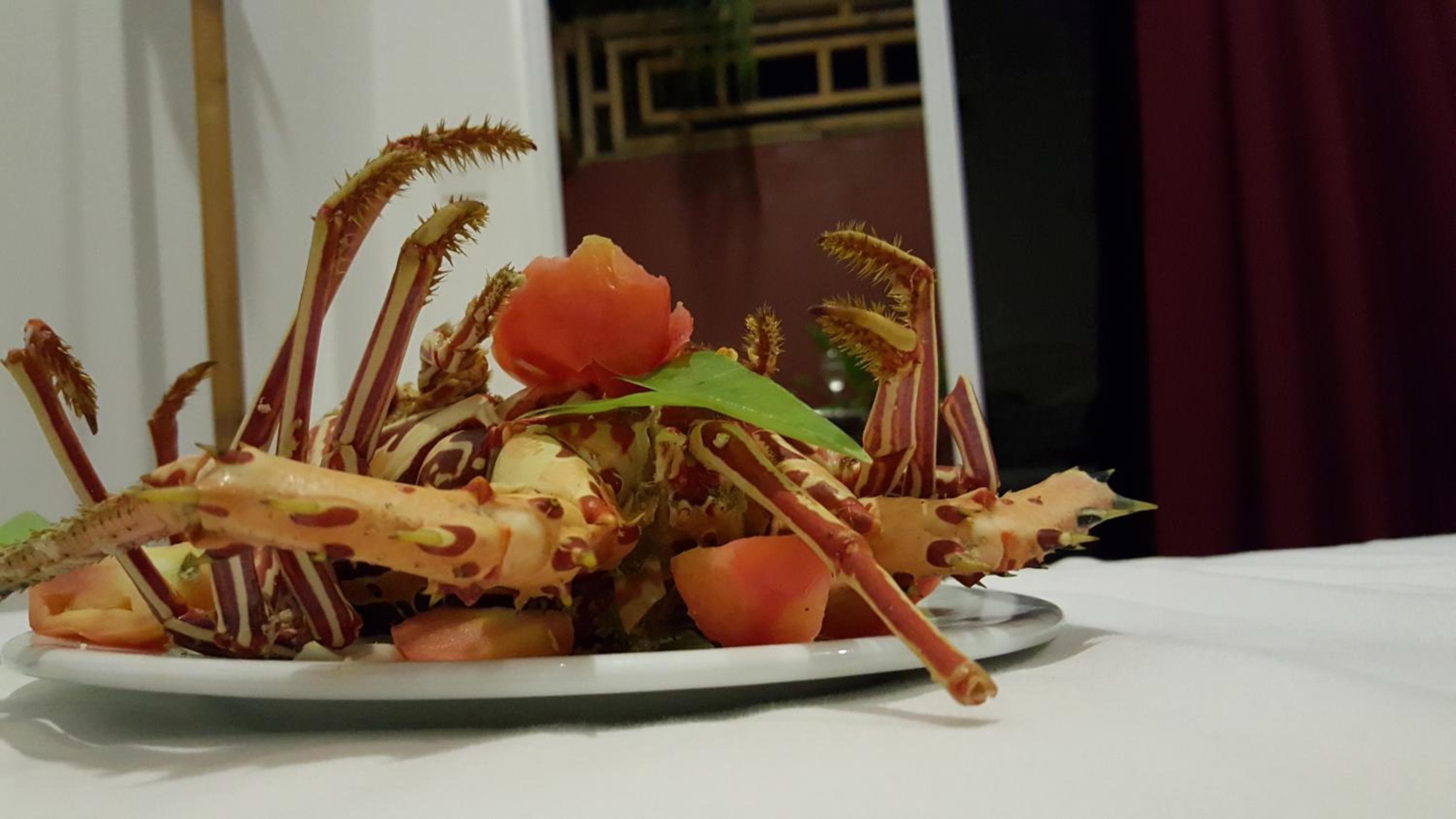 Maafushi View - View 26