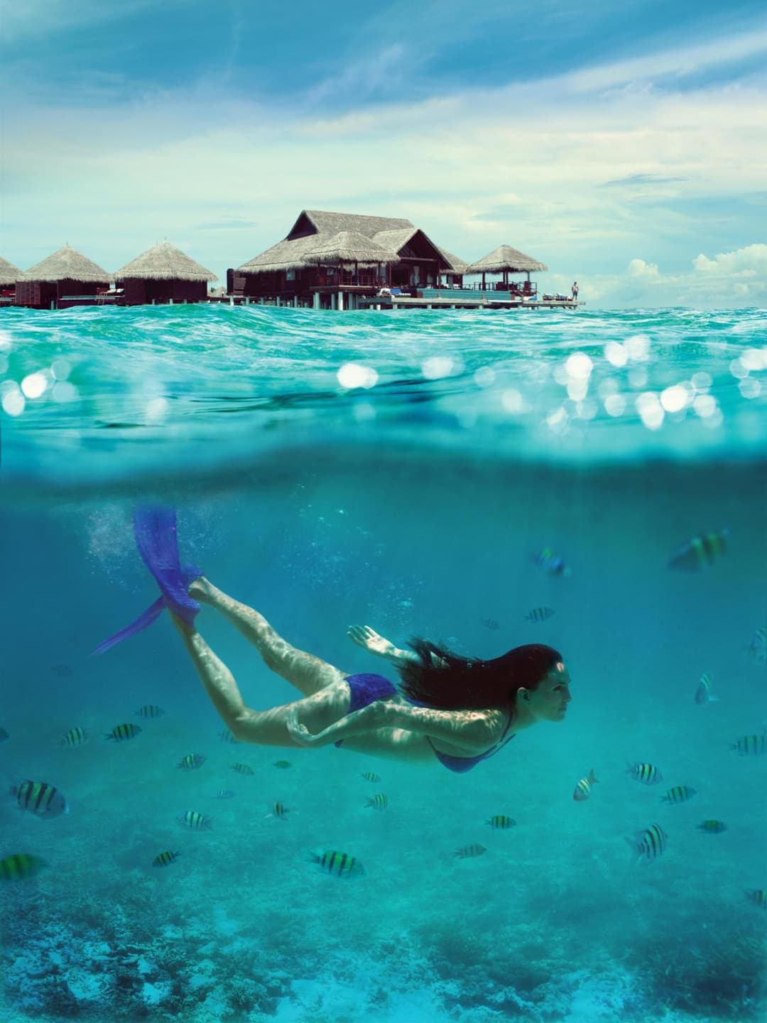 Taj Exotica Resort & Spa, Maldives - Free Airport Transfers - View 24