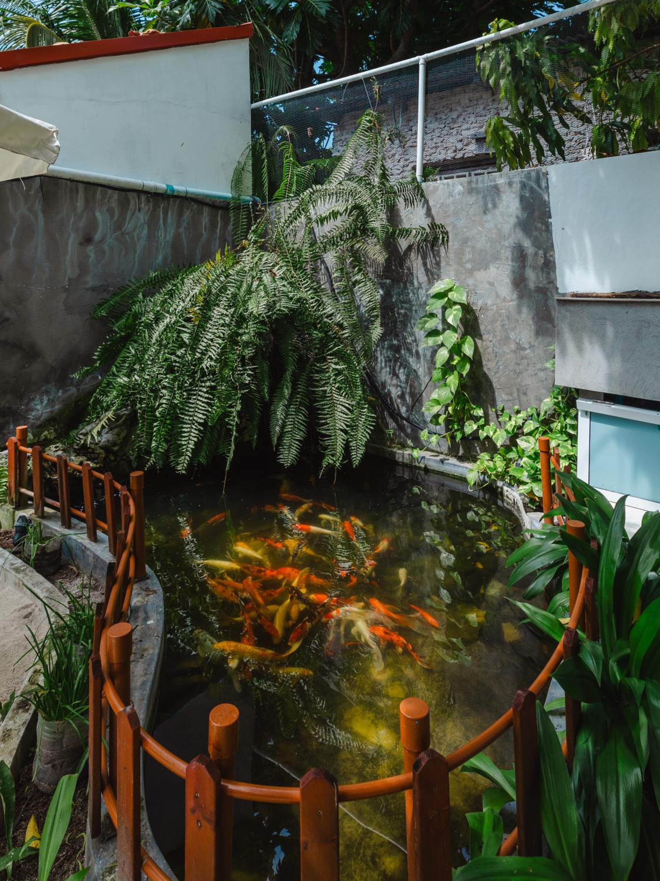 Karanka Villa @ Mahibadhoo - View 34