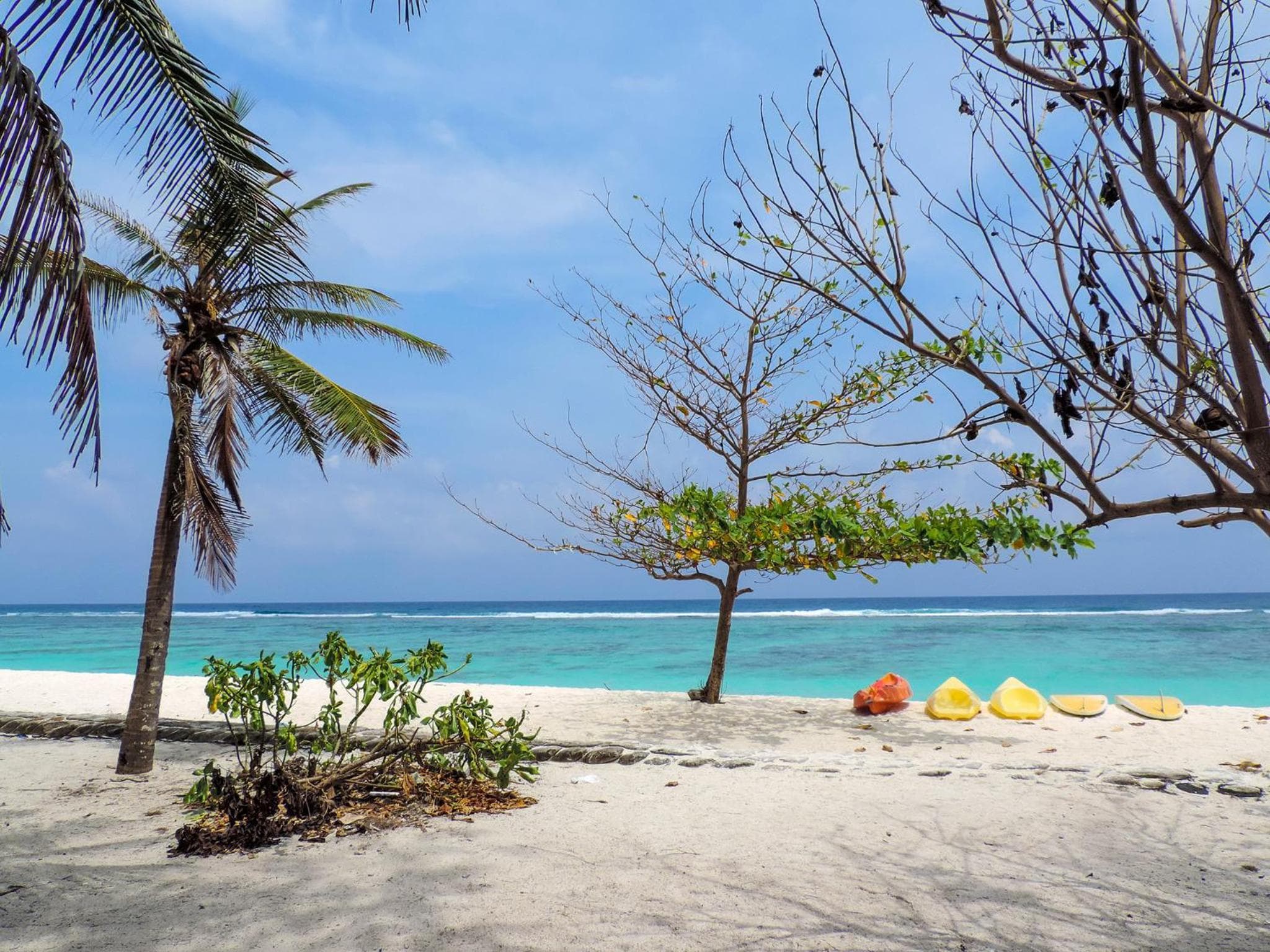 Newtown Inn - View 38