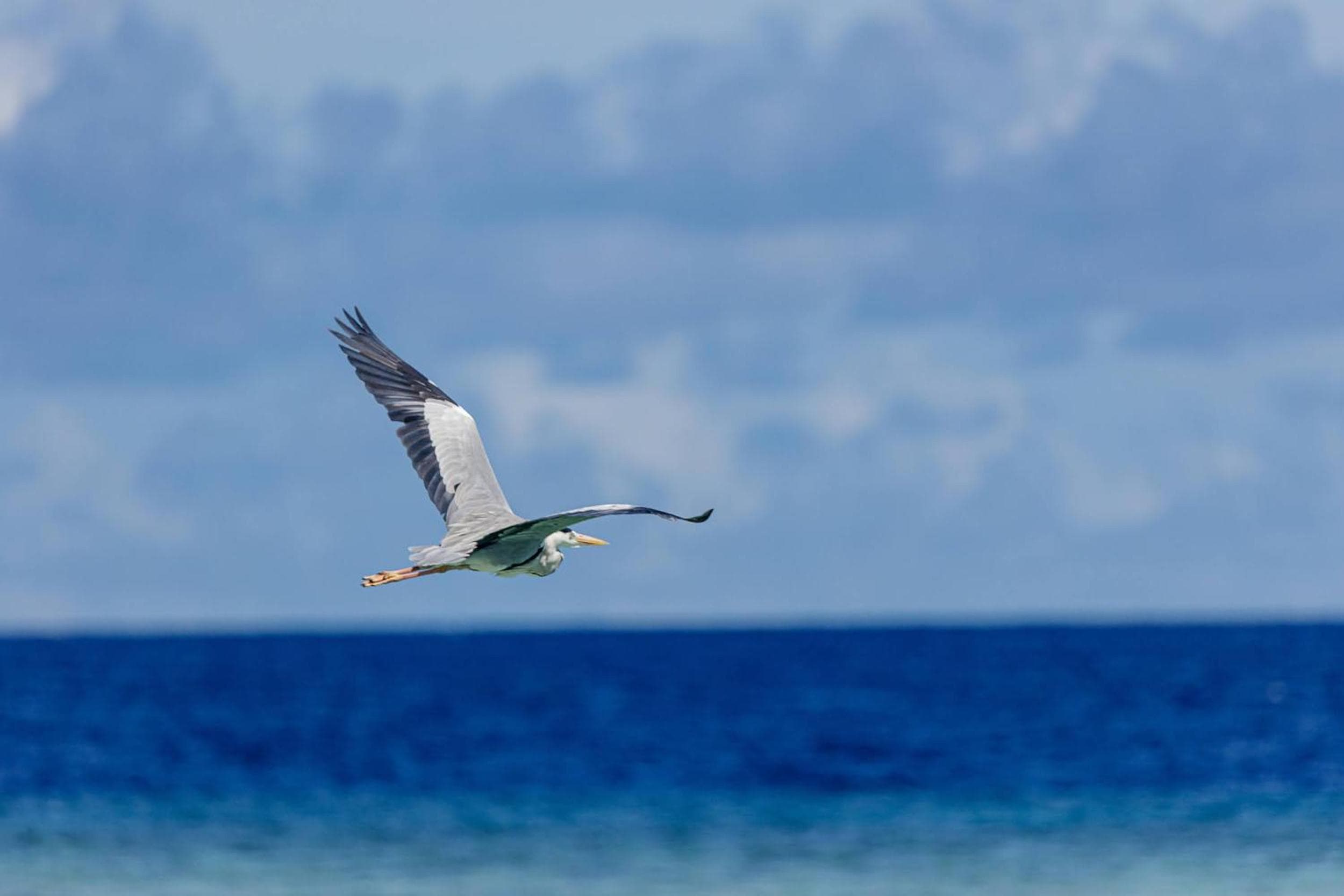 Kinan Boutique - View 27