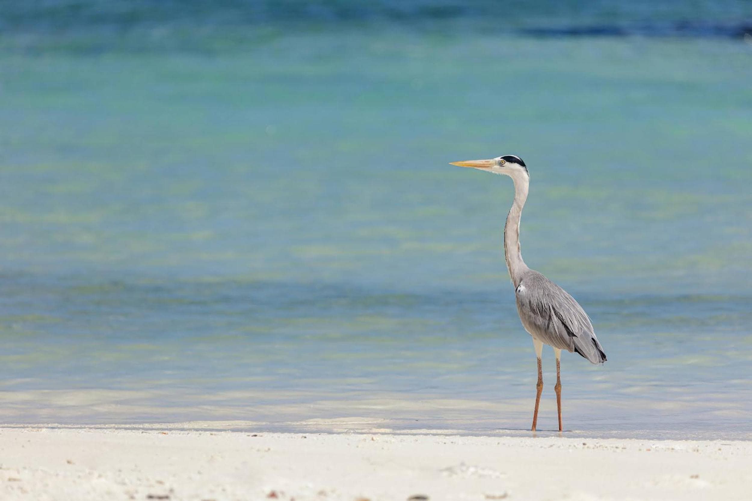 Kinan Boutique - View 28