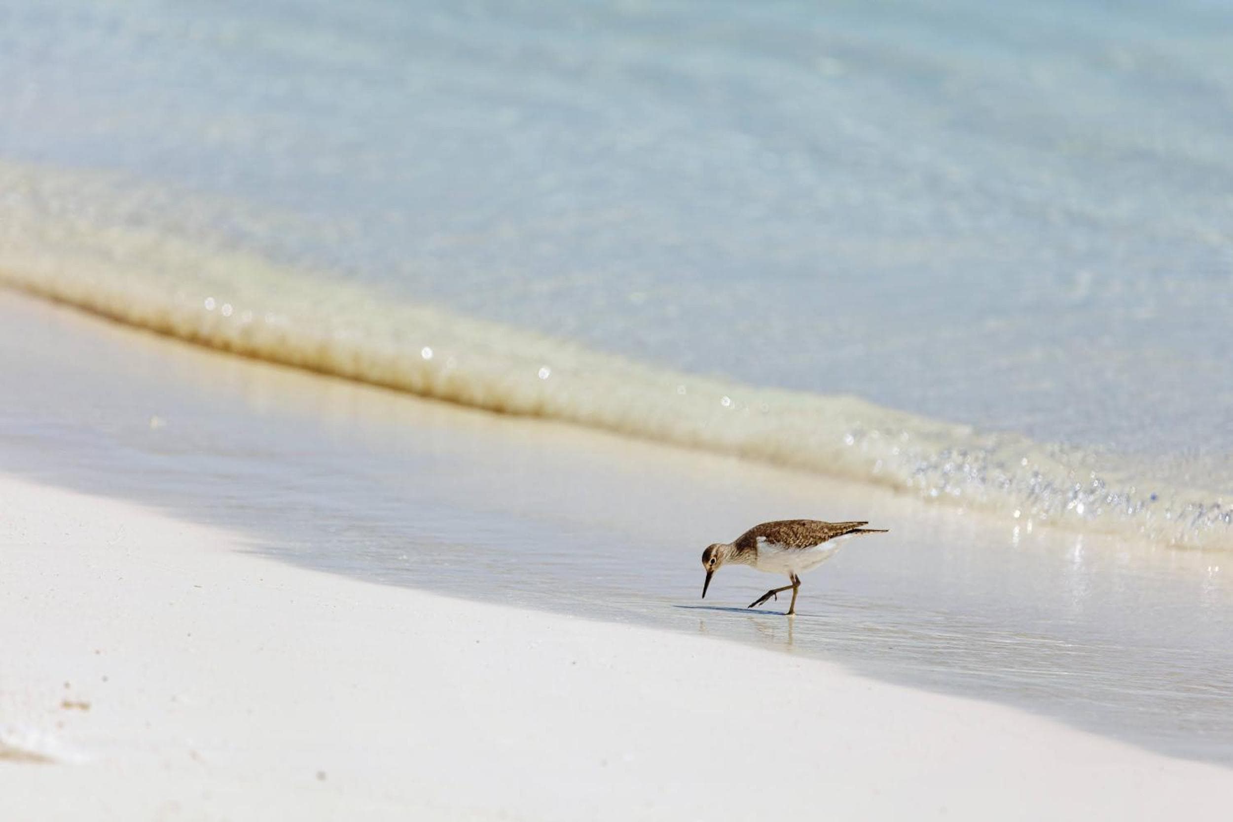 Kinan Boutique - View 29