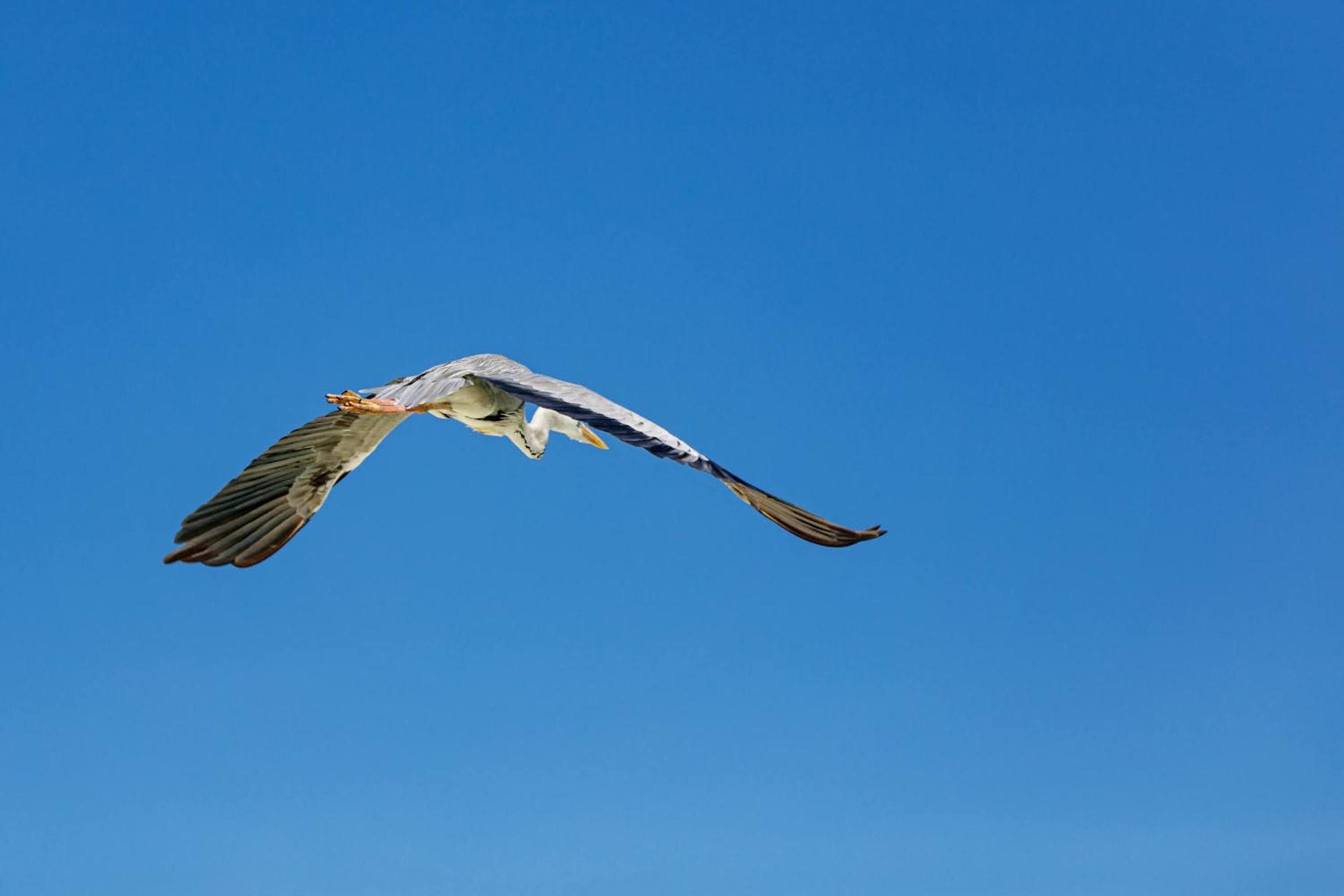 Kinan Boutique - View 30