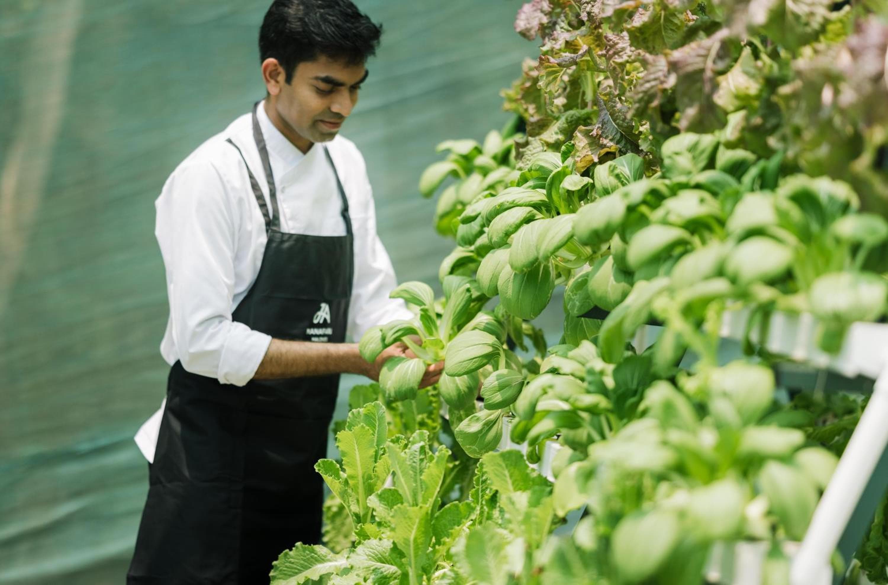 JA Manafaru, The Real Maldives - Complimentary Seaplane for 7 nights and more - Stay period until 23 Dec 2025 - View 118