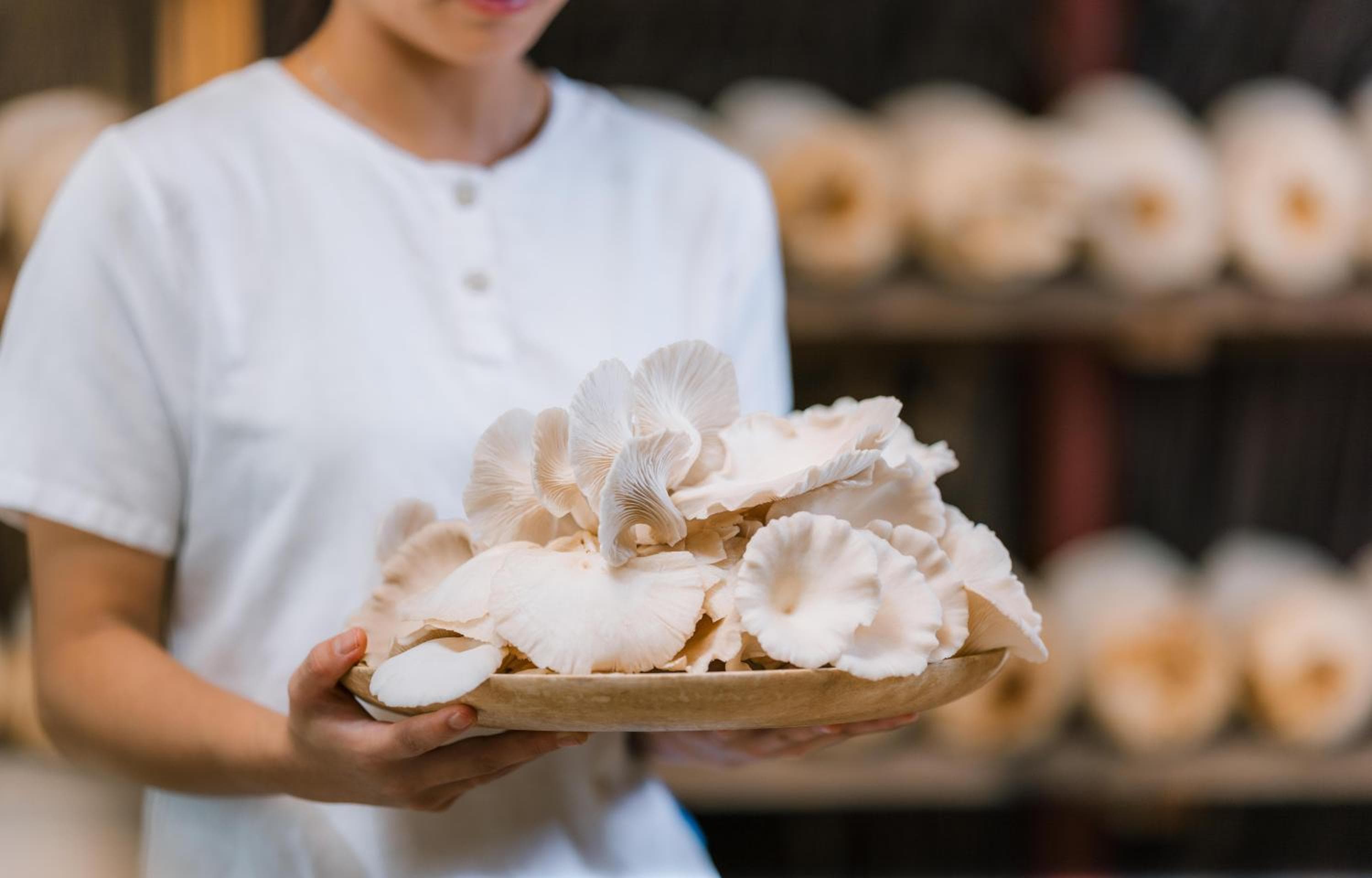 JA Manafaru, The Real Maldives - Complimentary Seaplane for 7 nights and more - Stay period until 23 Dec 2025 - View 120