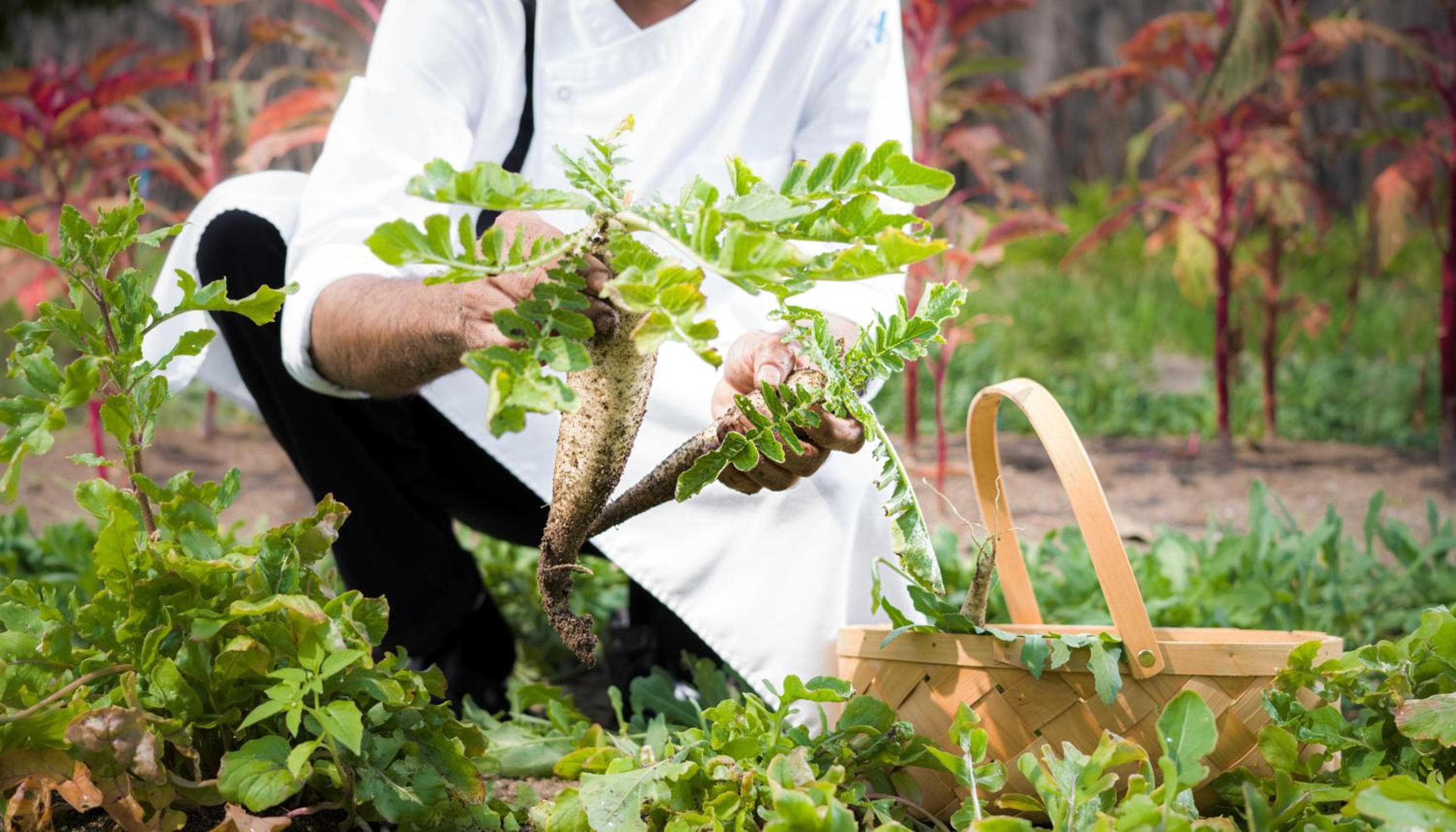 JA Manafaru, The Real Maldives - Complimentary Seaplane for 7 nights and more - Stay period until 23 Dec 2025 - View 121