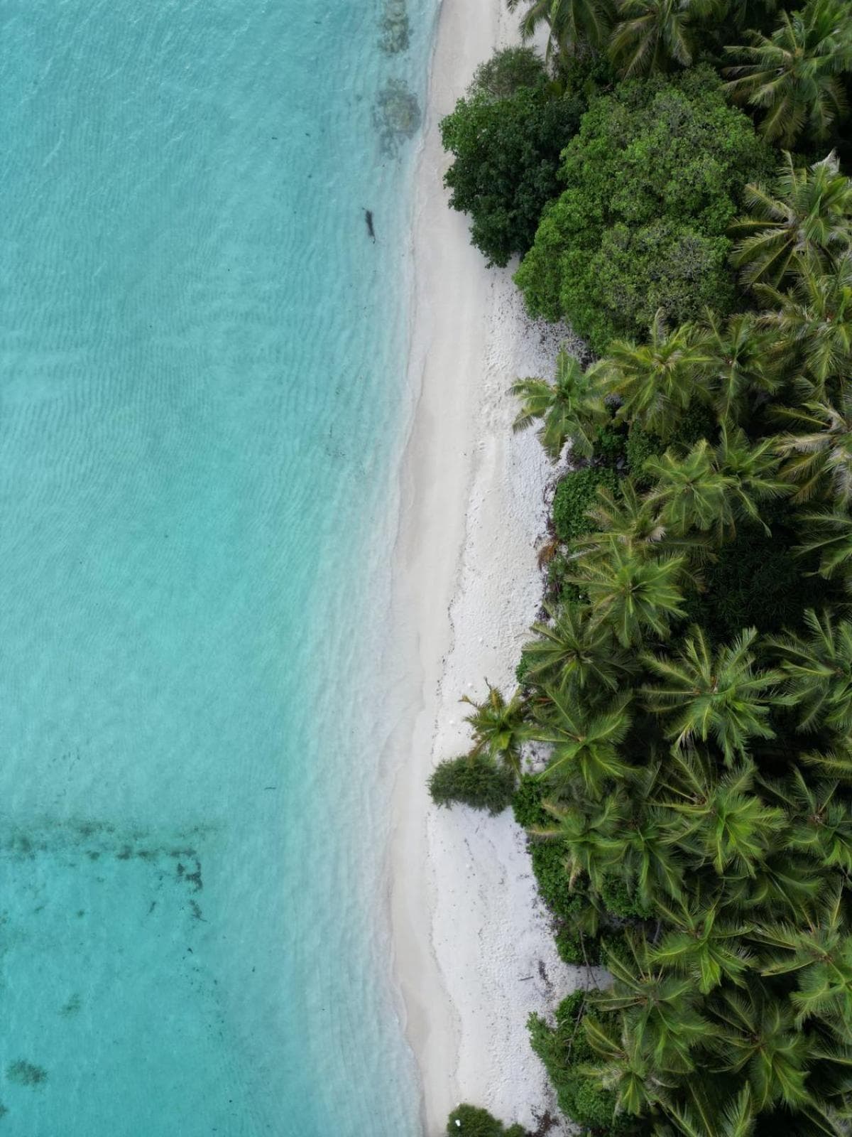 Isla Retreat - View 19