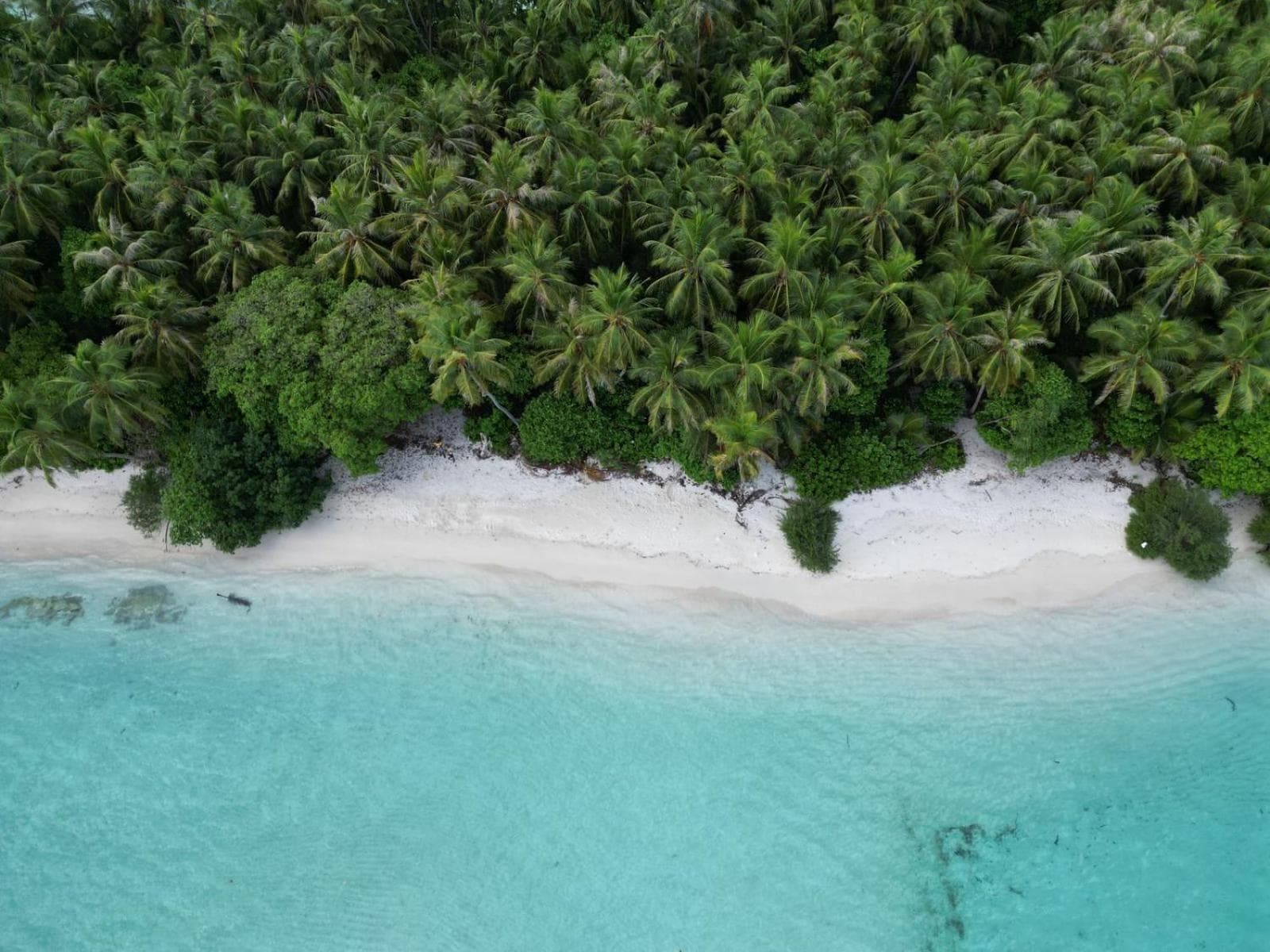 Isla Retreat - View 18