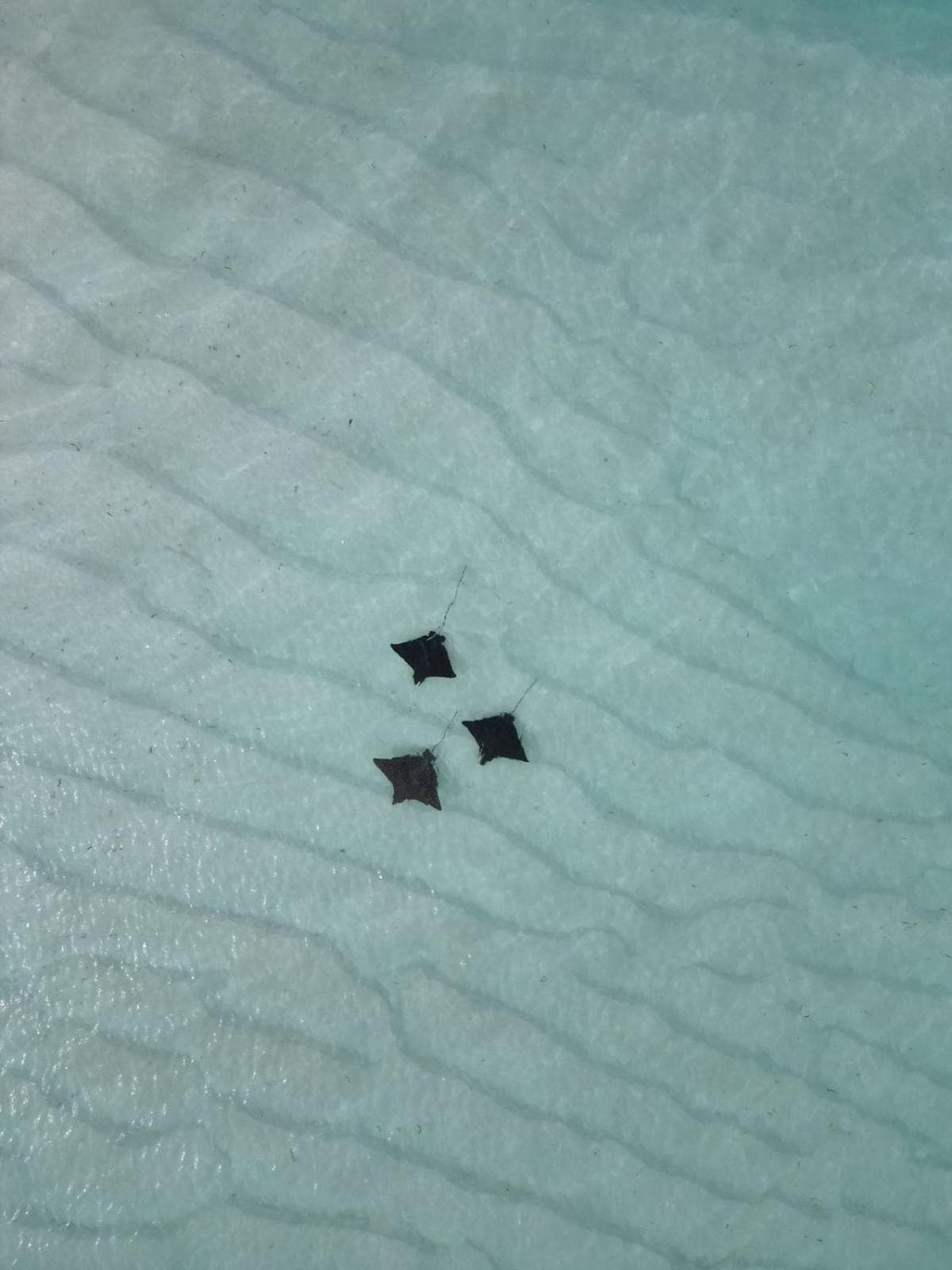 Isla Retreat - View 27